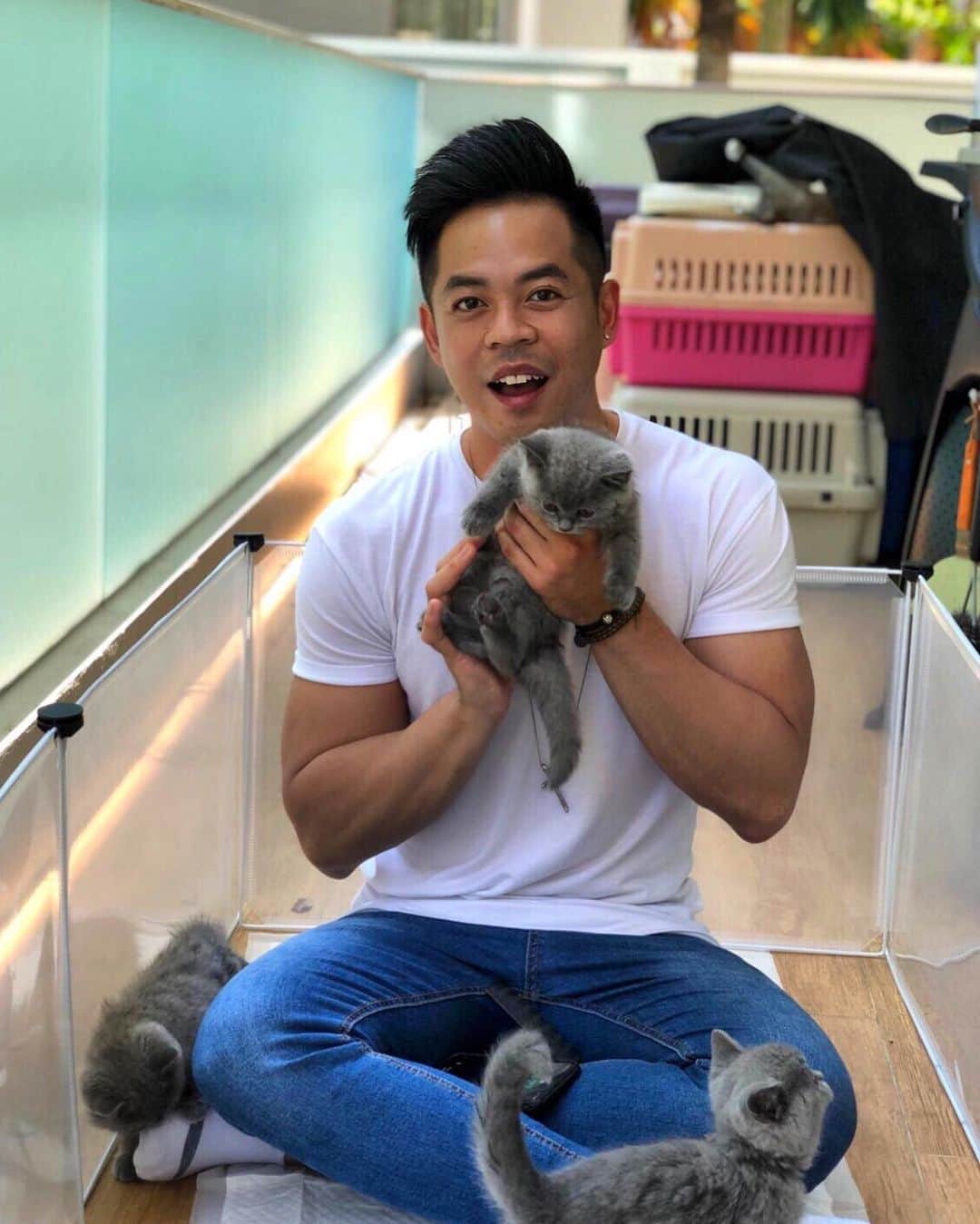 ヒューバートのインスタグラム：「Fat cat with @chubbybuddycats kitties, best hour of my life!@&$」