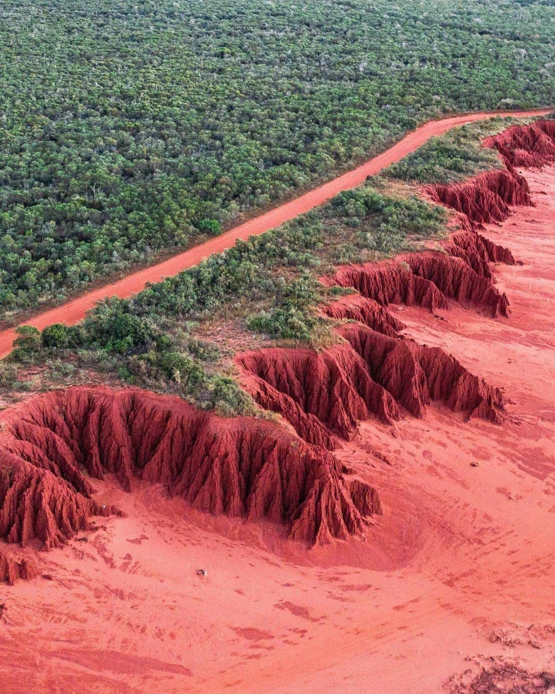 Australiaさんのインスタグラム写真 - (AustraliaInstagram)「Don’t worry, we’re still on earth, this is just another one of @thekimberleyaustralia’s otherworldly landscapes. 🤯 @ally.photog captured the stunning coastline of @westernaustralia’s #JamesPricePoint, which is a popular getaway destination for #Broome locals, since it’s only 1.5-hour drive from town. Bright red cliffs and turquoise water aren’t the only things you’ll find in this part of @australiasnorthwest, look out for the world’s largest collection of dinosaur footprints in the area too. 🦕  #seeaustralia #justanotherdayinwa #australiasnorthwest #thekimberley #explore #travel」7月11日 20時00分 - australia