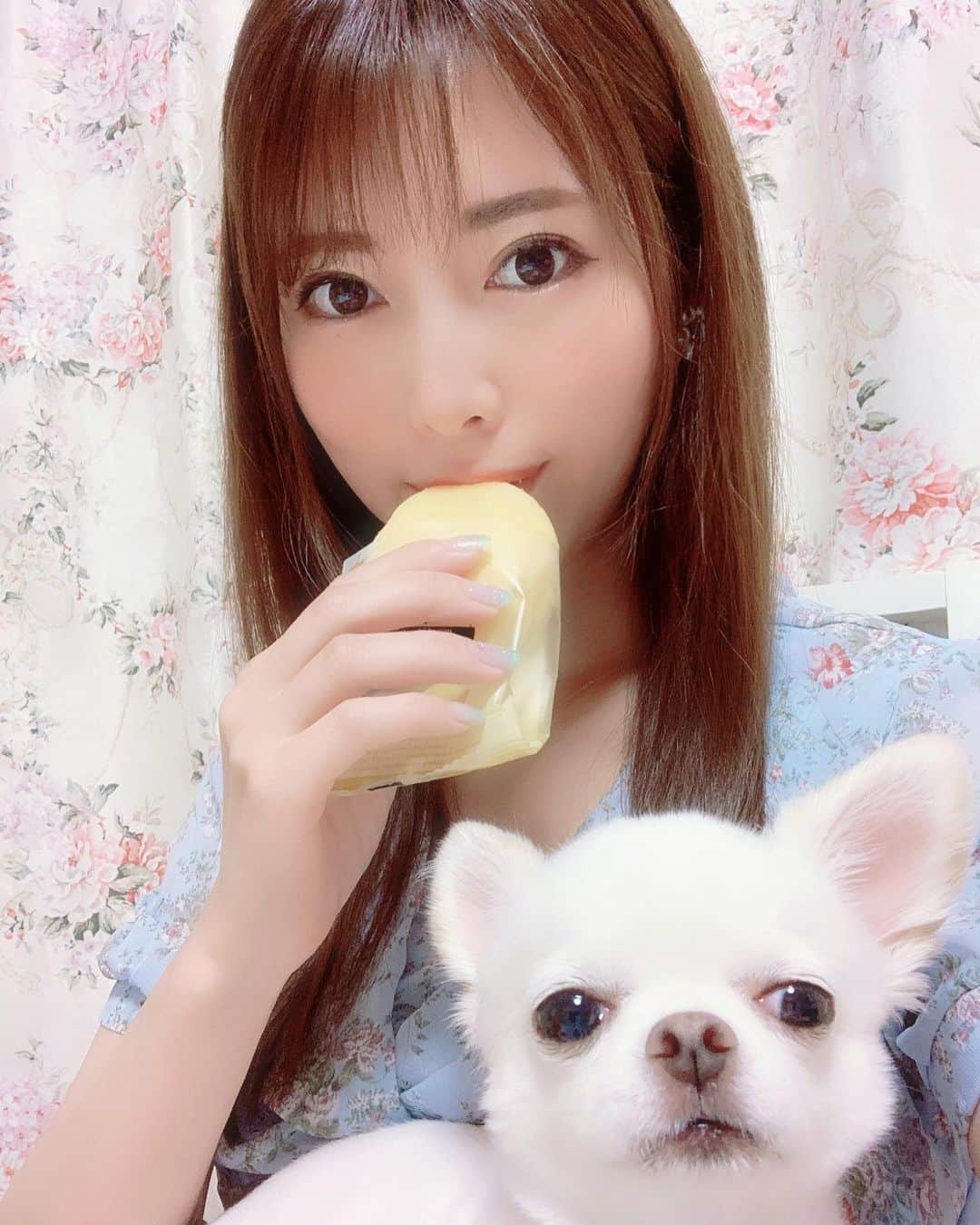 さわいえりさんのインスタグラム写真 - (さわいえりInstagram)「旭川のロバ菓子司アンバサダー💕 アンバサダーになって、1年以上になりました(^^) ・ 先日、お仕事で函館に行った時に空港でロバ菓子司の お菓子がたくさん販売されていて、そして大人気で、 アンバサダーをしていることがとても嬉しくなりました☺️ ・ 今や、おやつの時間はロバ菓子司♪  カスタードケーキ「たいせつ」が届いたよ✨  期間限定！季節のたいせつ 瀬戸内レモン🍋 ふわふわスポンジに、なめらかなレモンミルククリームと爽やかなレモンのジャムと、ほんのりちょっとビターなレモンピールがアクセントになっていて、とっても美味💓 贈り物にも、ぜひオススメしたい美味しさです🎀 ・ ・ ただ今、夏のキャンペーン中❣️ @robakashitsukasaをフォロー&ロバ菓子司のお菓子を #ロバ菓子司スイーツ夏 を付けて投稿すると、 人気お菓子の詰め合わせが当たるキャンペーン中！ ぜひ応募してみてねっ💁‍♀️ ・ ・ ・ ・ ・ ・ ・ ・ ・ ・ ・ ・ #たいせつ#瀬戸内レモン#レモン#ロテルド北倶楽部#ザさんくろうど#ロバ菓子司#北海道#旭川#旭川市#菓子#お菓子#いいね#いいね返し#グルメ#お取り寄せ#通販#フード#インスタ映え#インスタフード#プレゼント#お土産#食レポ#ご当地グルメ#スイーツ#さわえりグルメ#撮影モデル#モデル#サロモ#インフルエンサー」7月11日 20時04分 - beauty_eri7