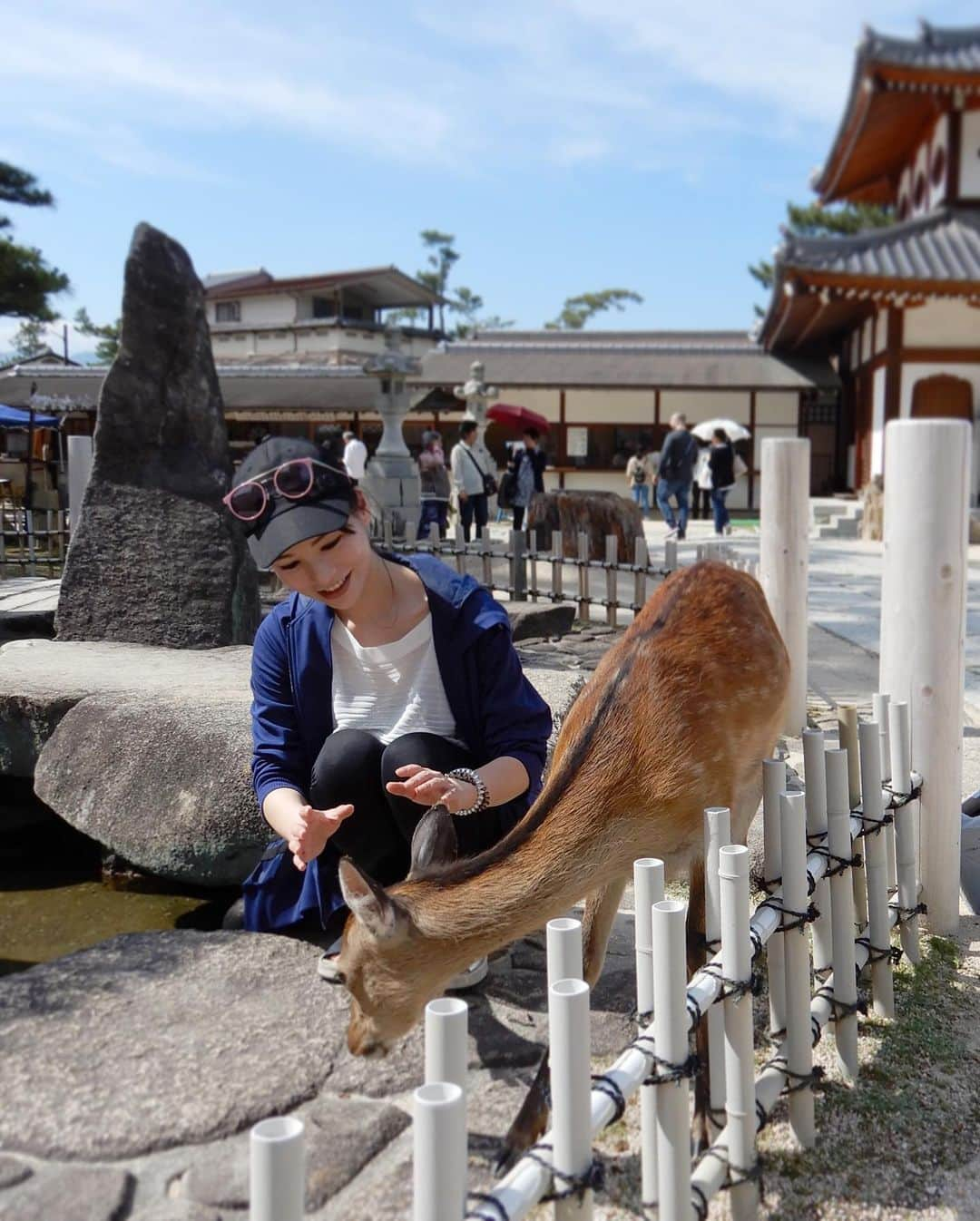 宮崎まこさんのインスタグラム写真 - (宮崎まこInstagram)「厳島神社に突然行った時の 🦌鹿ver，photo🦌 . タイミングが無ければ行かなかったかもしれない。 そのタイミングがあった…結果 . . 人生に組み込まれたプランだったのかも 知れない🦌 . . すっとこどっこい てっぺん？の神社まで歩いて行った脚の強さよりも、帰りのフェリー発まで残り20分、全速力で走って乗れた事は奇跡だろう🐣🐥 . . ⛩…………⛴ 多分誰も張り合いたくもない新記録では？ . .  #アウトドア  #followmeto  #trip #trippics #旅行  #新緑 #旅人 #寝る #地蔵 #海 #海釣り #japantrip #旅行 #イマソラ #観光スポット #canoneosm5 #ミラーレス一眼 #広島 #厳島神社 #宮島 #神社巡り #eosm5  #タビジョ  #釣り #カメラ好きな人と繋がりたい #広島観光 #鹿 #野生動物 #島 #鳥居」7月11日 20時04分 - makomiyazaki