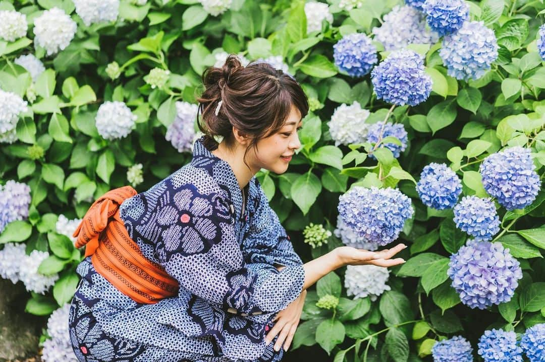 Kozue Kawabeさんのインスタグラム写真 - (Kozue KawabeInstagram)「紫陽花に浴衣 日本の夏🍧 . . . . ㅤㅤㅤㅤㅤㅤㅤㅤㅤㅤㅤㅤㅤㅤㅤㅤㅤㅤㅤㅤㅤㅤㅤㅤㅤㅤ#浴衣 #浴衣ヘア #浴衣ヘアアレンジ #yukata #kimono #花火大会 #デート  #夏休み #土曜日の小旅行 #genc_mag #mery #メイク #ヘアアレンジ  #itbag #着付け #セルフ着付け #セルフ #summerfashion #kyoto #京都 #土曜日の小旅行 #instagood #instagram #instagramjapan #紫陽花 #梅雨 #夏 #大人女子」7月11日 20時42分 - miyaco8