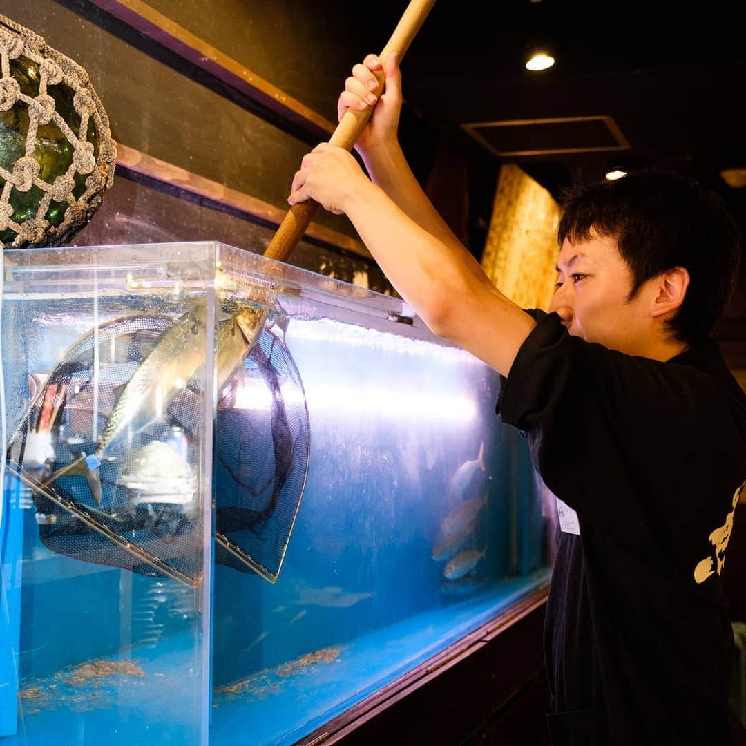 九州熱中屋さんのインスタグラム写真 - (九州熱中屋Instagram)「九州熱中屋のコンセプトは「九州の繁盛店が東京にやってきた」〓〓〓〓 . 食の宝庫・九州から こだわりの逸品を代表の山本自ら現地で探し出し〓 誇るべき九州料理を取り揃えております〓 . 有名ブランド魚を数多く育てる「豊後水道」からは「豊後さば」 日本屈指の好漁場である長崎県「五島列島」からは豊富な海の幸、 博多の人々に愛されている「皮串」や「豚バラ串」といった ほかとはひと味もふた味も違う厳選素材に〓 . 今や日本全国で人気の「もつ鍋」を熱中屋ならではの お店での手作りにこだわった「鉄鍋餃子」「薩摩揚げ」など 九州のみならずあらゆる人に愛される九州郷土料理メニューをお楽しみいただけます〓 . 九州ならではの味わいを体験したい〓 というお客様のグルメな舌を満足させられますように♪♪♪ . 九州の活気溢れる繁盛店を再現しております！ ご来店お待ちしております♪ . . #熱中屋 #九州熱中屋 #居酒屋 #ビール #九州料理 #郷土料理 #九州グルメ #九州居酒屋 #飲み会 #飲み #ちょい飲み #ハッピーアワー #ビール好きな人と繋がりたい #送迎会 #歓迎会 #飲み会〓#居酒屋好き #居酒屋めし #酎ハイ #はしご酒 #呑み #ビールにあう #ビール好き #瓶ビール #お酒のつまみ #飲酒タグラム #新宿居酒屋 #居酒屋メニュー #お酒好き女子 #美味しい物」7月11日 20時59分 - necchuya