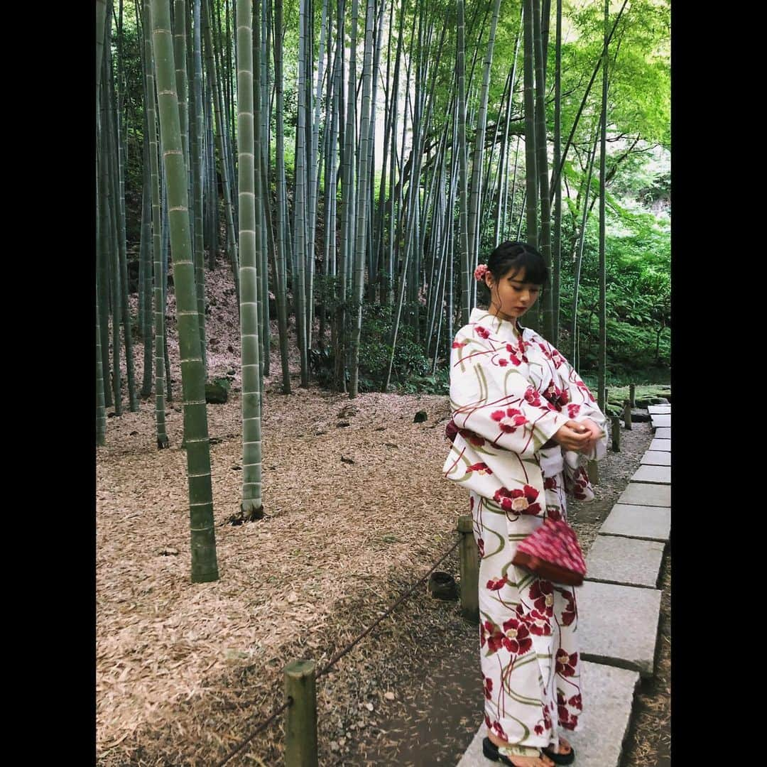 広橋佳苗さんのインスタグラム写真 - (広橋佳苗Instagram)「鎌倉の花火大会に行ってきました🎇 花火大会の前に報国寺に行ってきました！ 緑を感じれてしあわせ🎋 #鎌倉 #鎌倉観光 #報国寺  #鎌倉花火大会 #花火大会  #ヘアアレンジ #浴衣ヘア  #自分でセット #簡単ヘアアレンジ  #浴衣 #浴衣女子 #広橋佳苗」7月11日 20時59分 - kanae___0922