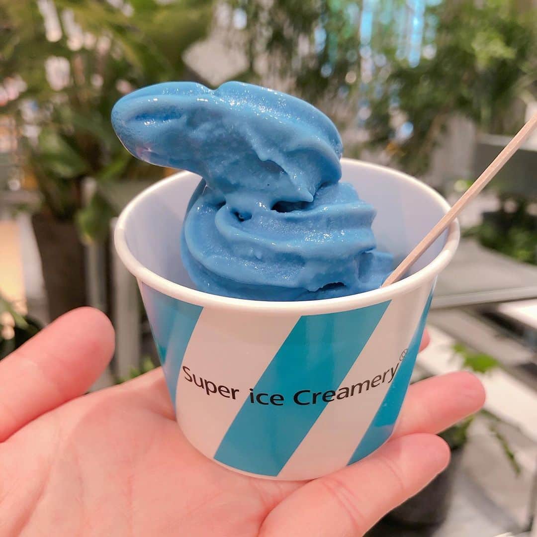 スピルリナのDICライフテック株式会社さんのインスタグラム写真 - (スピルリナのDICライフテック株式会社Instagram)「. . メディアでも話題になっている#青いソフトクリーム を食べに、銀座ロフトのスーパーアイスクレマリーに行ってきました！  ブルーがキレイな「ヴィーガン生ソフトクリーム」  真っ青なクリームには 実は当社のスピルリナ青の#リナブルー  が使われているんです！！💙💙💙💙💙 . . 乳製品や白砂糖不使用で有機玄米粉を使った、ヘルシーなソフトクリーム🍦💙 . ソフトクリーム特有のベタつきや喉に甘さが残らず、スッキリした甘さで運動直後に食べても、またすぐ運動できそうなくらいのおいしさでした！  今までにない感覚で、すっと体に入って、水分を補給しているような心地よい口溶けでした☺️✨✨ . . 夏にぴったりのひんやりスイーツ、銀座にお越しの際はぜひ足を運んでみてくださいね😊🍦💙✨ . . #supericecreamery #スーパーアイスクレマリー #loftfoodlab #ロフトフードラボ #グルテンフリー #ヴィーガン #vegan #ソフトクリーム#softcream #アイスクリーム #icecream  #ギルトフリー #ヘルシースイーツ #healthysweets #sweets  #スイーツ #tokyocafe #東京カフェ  #銀座カフェ #銀座ロフト #スピルリナ #スーパーフード #dicスピルリナ #スピルリナ青 #linablue #spirulina」7月11日 21時49分 - dic_spirulina