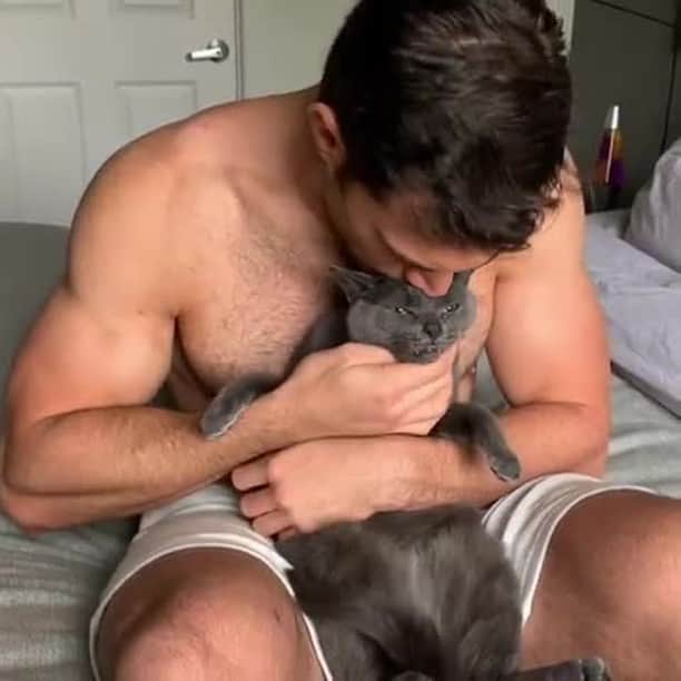 のインスタグラム：「What a beautiful family 🐾⠀ ⠀ 📹@dr.evanantin 🎤 @southpark Featuring Puff @diddy ⠀ ⠀ #meowed #evanantin #catdad @conejovet #soundon #volumeup #🔊」
