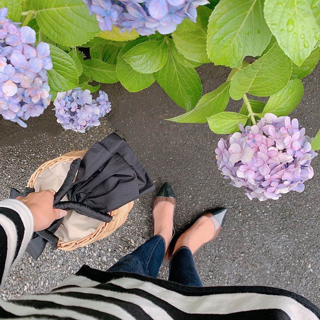 Sayakaのインスタグラム：「* 今日の足元💠 朝の天気予報を見て、雨に備えてレインシューズを履いてきて大正解😊✨ . . #fashion #ootd #shoes #shoeslover #rainshoes #scrap_book #ajolie #ribbon #bascketbag  #今日の足元 #足元コーデ #足元くら部 #靴 #フラットシューズ #レインシューズ #ラバーシューズ #レインパンプス #テンパレイト #アジョリー #かごバッグ #雨の日コーデ」