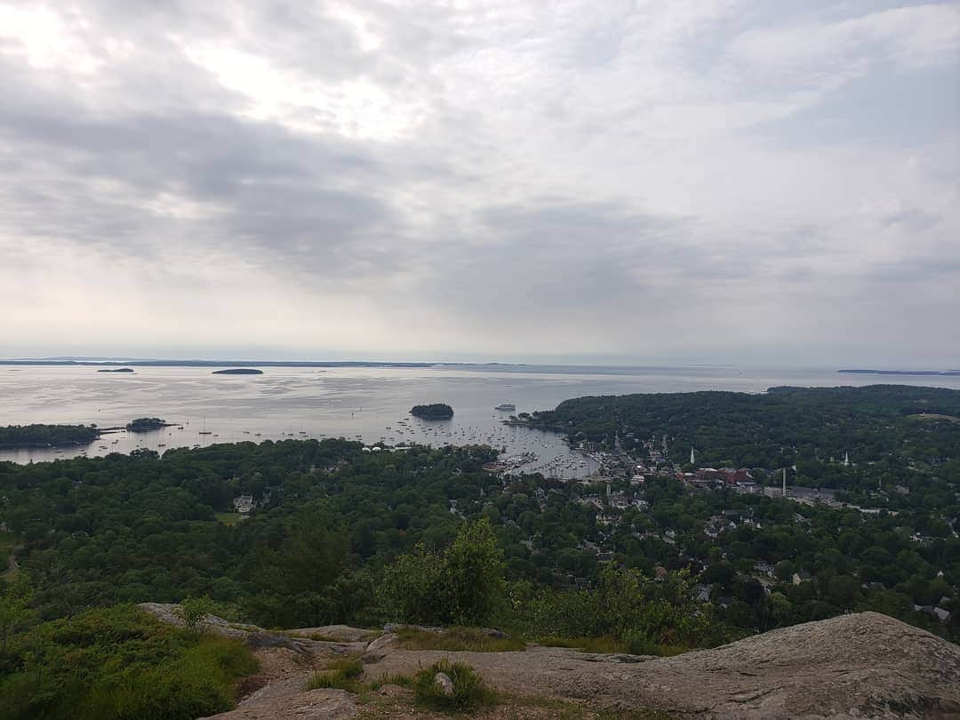 ウィリー・ガーソンさんのインスタグラム写真 - (ウィリー・ガーソンInstagram)「Morning hike....hideous」7月11日 22時16分 - willie.garson