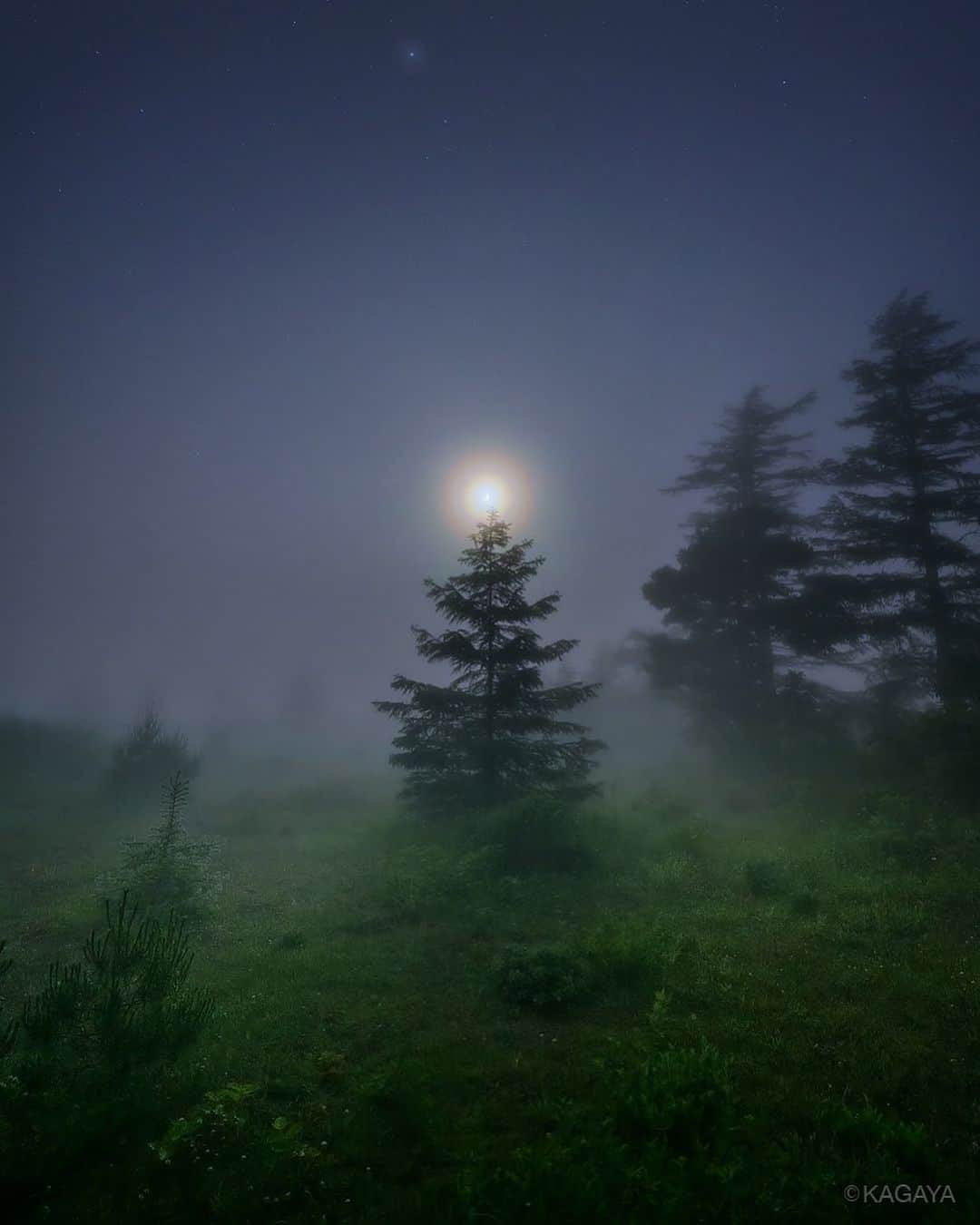 KAGAYAさんのインスタグラム写真 - (KAGAYAInstagram)「静かな霧の夜。 光環をまとった月が、 木の上に灯ったように見えたのはほんの一瞬でした。 （先日、岩手県にて撮影） 今日もお疲れさまでした。明日もおだやかな一日になりますように。 #moon #月 #岩手」7月11日 22時08分 - kagaya11949