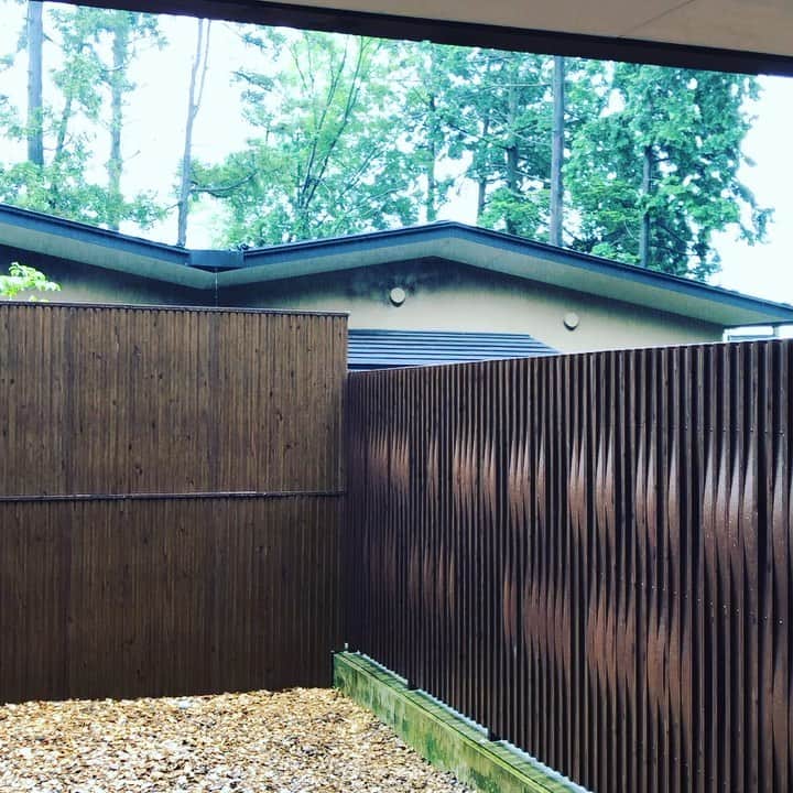 金村義明のグルメインスタ