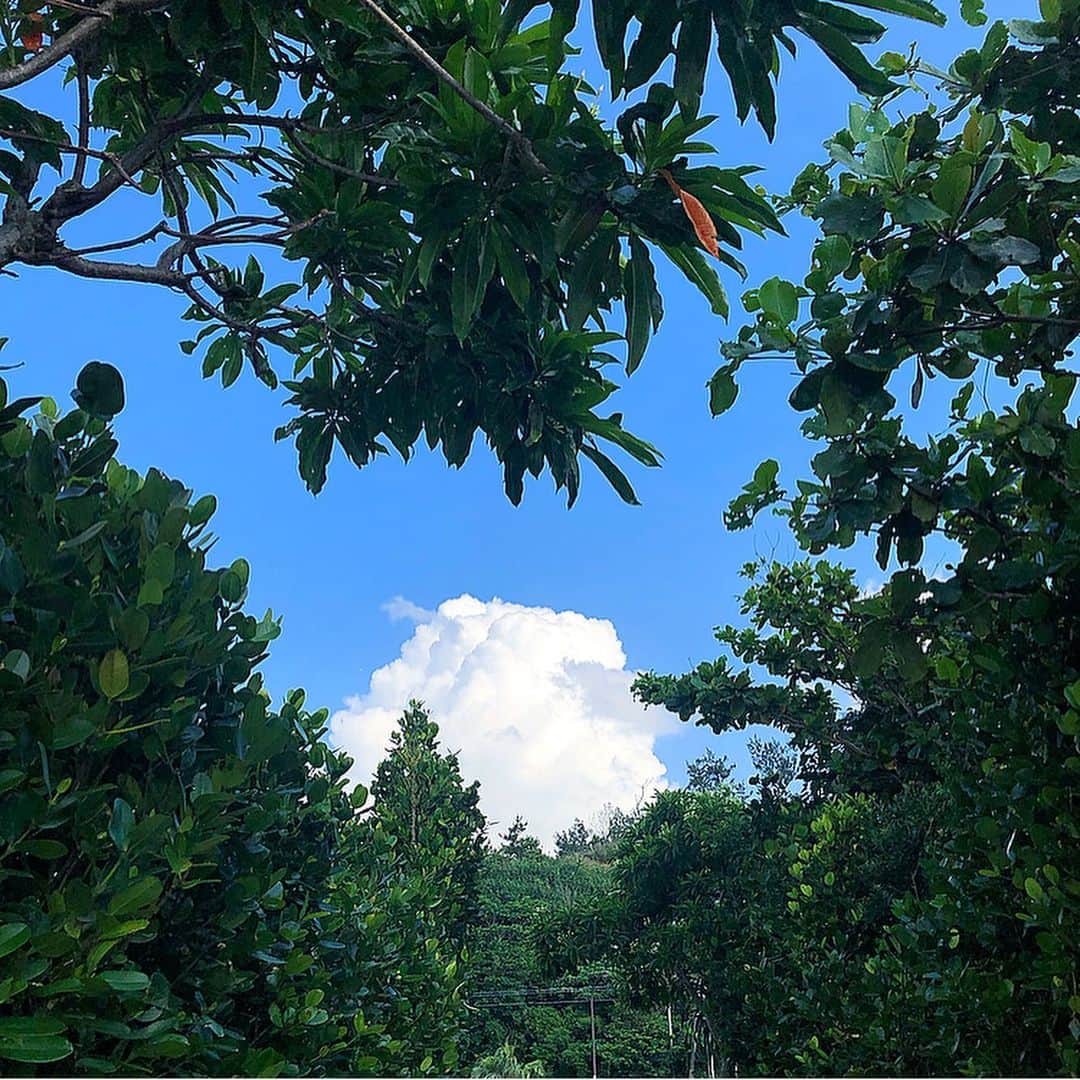 榊山敬代のインスタグラム：「🌴… ・  夏はじまりましたの巻  昨年はひきこもり制作で 光合成不足でしたから  一年分の光合成しました昨日  焼けやすい肌なので くろんぼネェネェにならないように 気をつけたい休日… ・ 😎 ・ ・ 🐚2枚目… ・ #ヤドカリ さん発見の巻  オシャレな貝殻がお家だなんて なんて夢があるんだろう…と  地球の宝物を見た気がして なんだか小さな世界に感動  いとおしくて 何度も再生中 ・ ・ ・  #海 #Sea #貝殻 #shell #晴天 #sky #雲 #cloud #Japan #沖縄 #okinawa #okinawatrip #loves_okinawa #okinawaphoto #日本画家 の #小旅行 #外出こんなもん #refresh #relax #充電中 🔌 #気分転換」