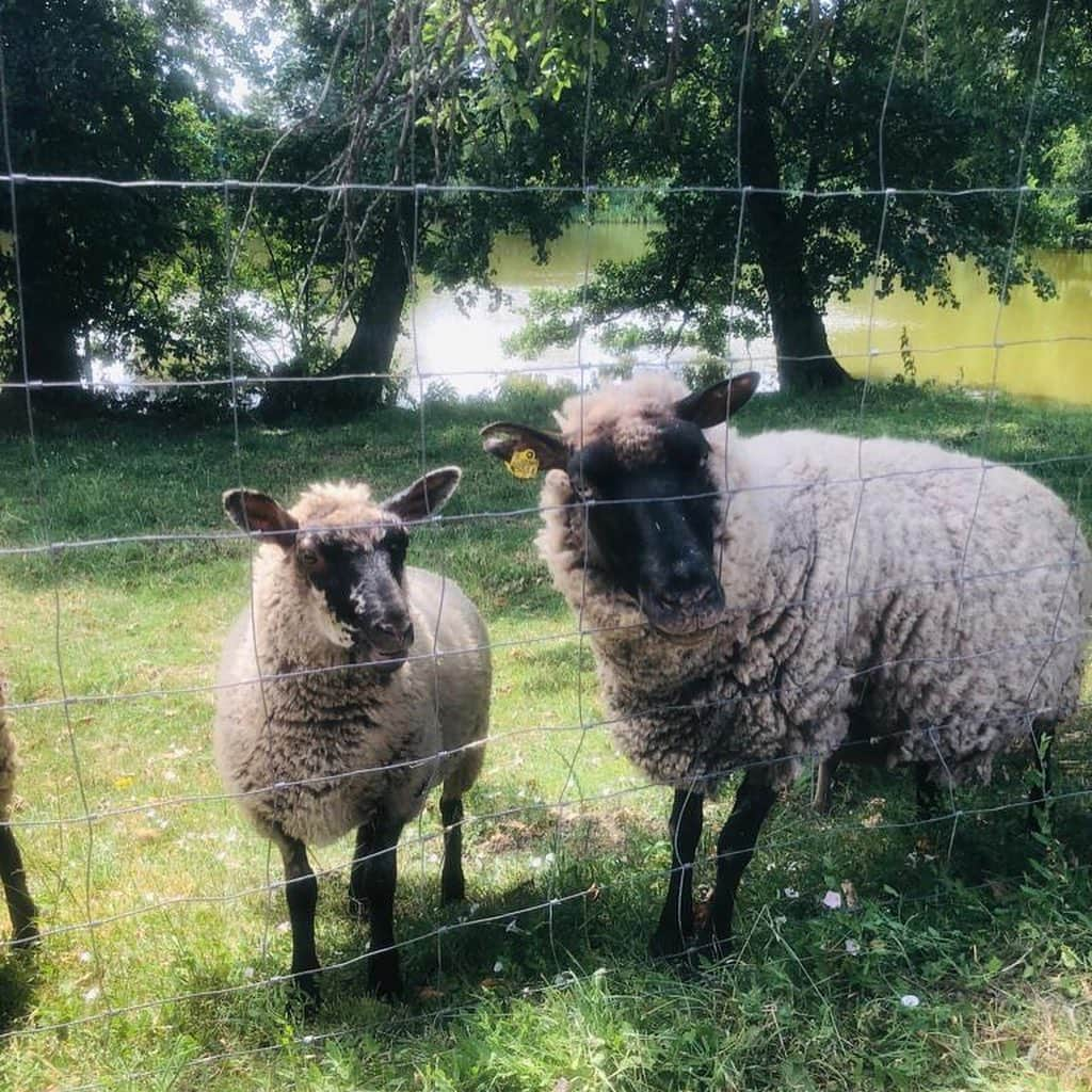 カロリナ・クルコヴァさんのインスタグラム写真 - (カロリナ・クルコヴァInstagram)「#summer in my hometown 💚 what’s your plans for summer? 🤩 #czech #holiday #summertime #FAMILY 💋 GREAT TIME 😍」7月12日 0時28分 - karolinakurkova