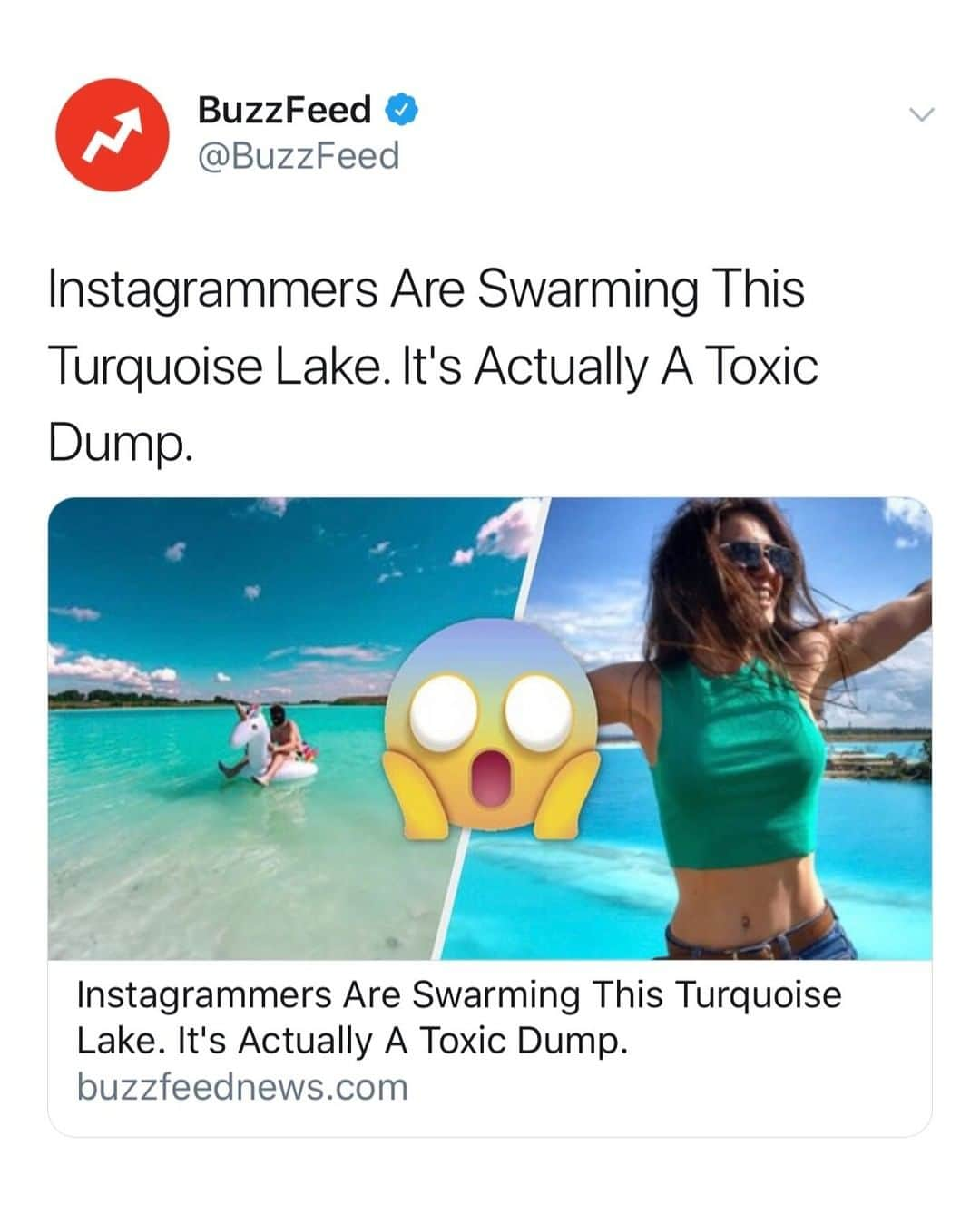 BuzzFeedさんのインスタグラム写真 - (BuzzFeedInstagram)「When "doing it for the 'gram" goes wrong 😬 Link in bio 📸 (via: @buzzfeednews)」7月12日 1時10分 - buzzfeed