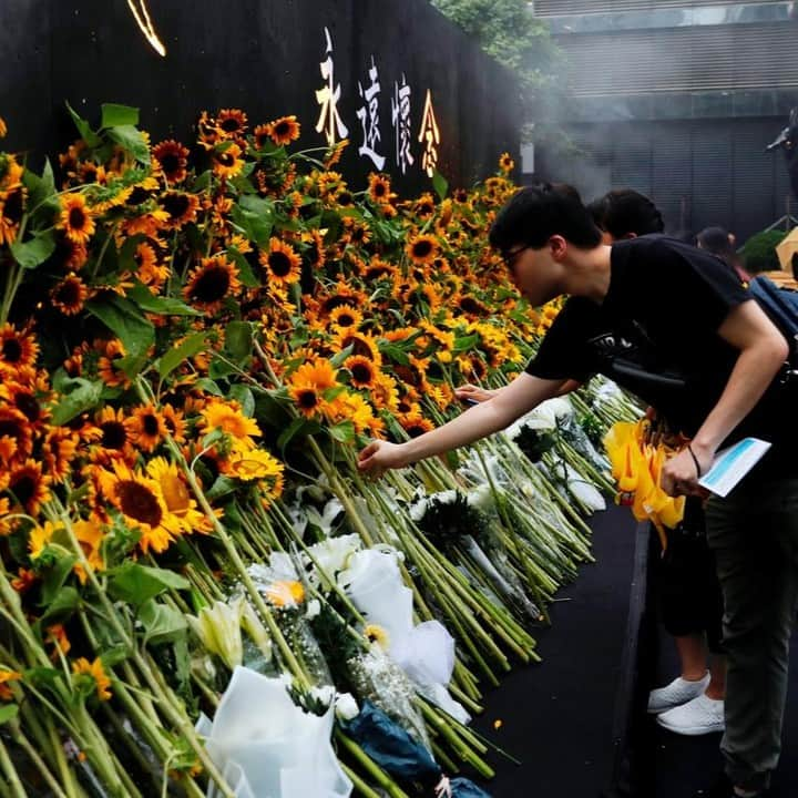 NBC Newsさんのインスタグラム写真 - (NBC NewsInstagram)「Activists lay sunflowers at a memorial site for anti-extradition bill protester Marco Leung, who died after falling from scaffolding during a demonstration in #HongKong.⁠ .⁠ 📷 Tyrone Siu / @reuters」7月12日 1時38分 - nbcnews