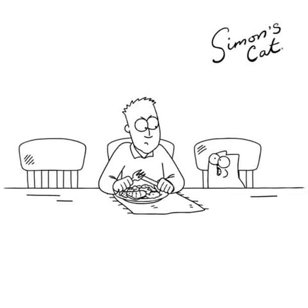 のインスタグラム：「Trying to enjoy your meal when your kitties are around can be a challenge ⠀ ⠀ 📹@simonscatofficial⠀ ⠀ #meowed #doodle #9gagmeowdle #simonscatofficial #catanimation #dailylife #dailystruggle」