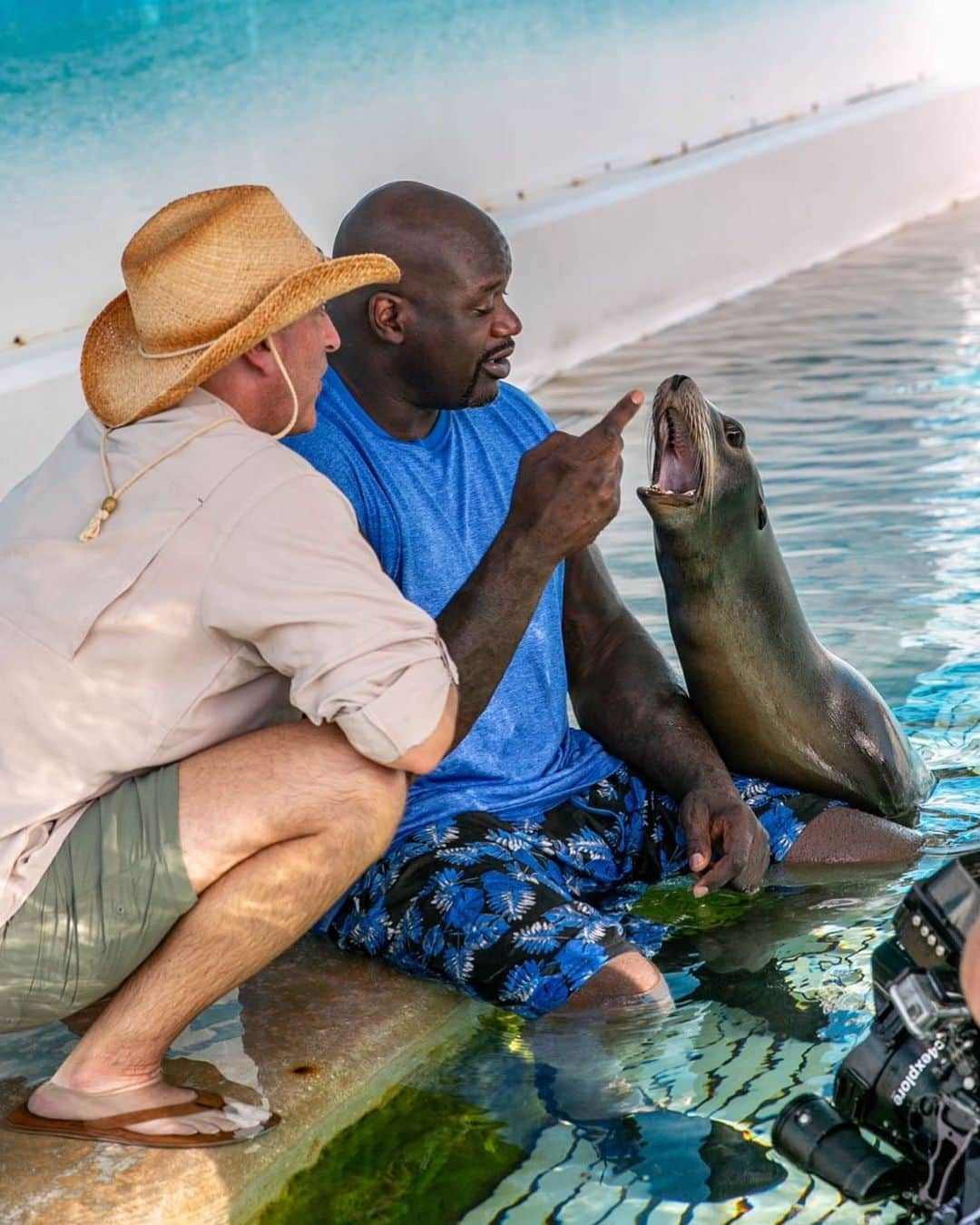 シャキール・オニールさんのインスタグラム写真 - (シャキール・オニールInstagram)「Shark Week 2018 with @robriggle #TBT」7月12日 2時57分 - shaq