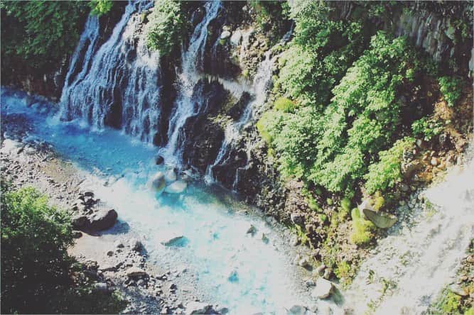 現地発信の旅行サイト「たびらい」のインスタグラム：「【北海道・美瑛】 美瑛町といえば「青い池」が有名ですが、併せて楽しみたいブルースポット「白ひげの滝」はご存じ？　まるでソーダ水のような透き通ったブルーは、夏旅にぴったりの景色。美瑛へ旅に出るなら、ぜひ立ち寄ってみて。詳しくは「たびらい　白ひげの滝」で検索！  #たびらい #tabirai #ローカル旅行 #旅行好き #旅行好きな人と繋がりたい #旅行 #travelgram #たびらい北海道 #北海道 #hokkaido #travel #小旅行 #ファインダー越しの私の世界 #北海道旅行 #美瑛 #instatravel #風景 #美瑛町 #夏の北海道 #白ひげの滝 #滝 #潜流瀑 #コバルトブルー #genic #自然 #genic_blue #青い #幻想的 #夏 #trip」