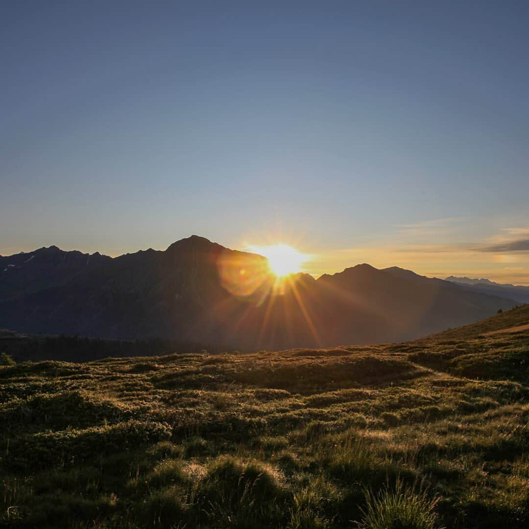 FCインゴルシュタット04さんのインスタグラム写真 - (FCインゴルシュタット04Instagram)「Hoch hinaus am Morgen ☀️🤩🚠⛰ Für die #Schanzer stand heute um 5 Uhr (!) eine Gondelfahrt auf den Berg inklusive anschließender Wanderung und Sonnenaufgang auf dem Programm 🌄😯👌 Unbedingt bis zum Ende swipen ☝️ . . #Vallesgeben #FCIngolstadt04 #FCI #Sonnenaufgang #sunrise #hiking #Wandern #Vals @gitschberg.jochtal #Gondel #Frühaufsteher #Fußball #Football #Soccer #Ingolstadt」7月12日 4時15分 - dieschanzer