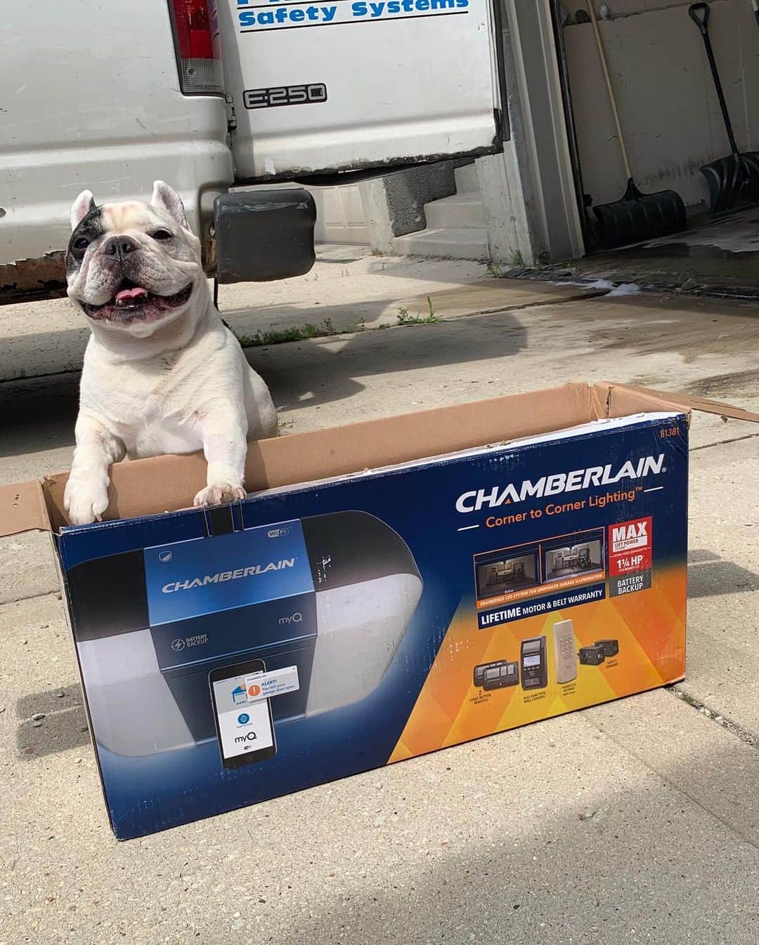 Manny The Frenchieさんのインスタグラム写真 - (Manny The FrenchieInstagram)「Ready for @KeybyAmazon in-garage delivery with my new myQ-connected garage door opener. WooHoo! No more missing or wet packages 📦 .  #ad #AmazonPrimeDay #myQConnected #InGarageDelivery #SmartGarage」7月12日 4時41分 - manny_the_frenchie