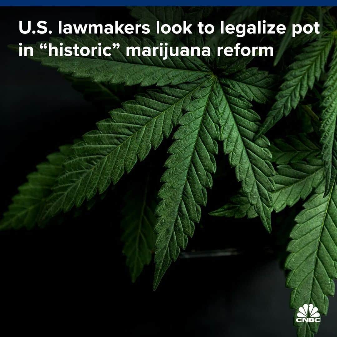 CNBCさんのインスタグラム写真 - (CNBCInstagram)「U.S. lawmakers weighed reforming pot laws in what advocates called a "historic" hearing Wednesday, with numerous members of Congress saying they wanted to loosen federal laws, and even legalize marijuana.⁠ ⁠ "There is a growing consensus in this country that current marijuana laws are not appropriate and we must consider reform," said Rep. Karen Bass, D-Calif. "Today's hearing is a first step in that process."⁠ ⁠ Eleven states have legalized adult recreational use and a majority of Americans support legalization.⁠ ⁠ A number of bills are on the table that would reform federal marijuana laws. ⁠ ⁠ Learn more at the link in bio.⁠ ⁠ ⁠」7月12日 6時01分 - cnbc