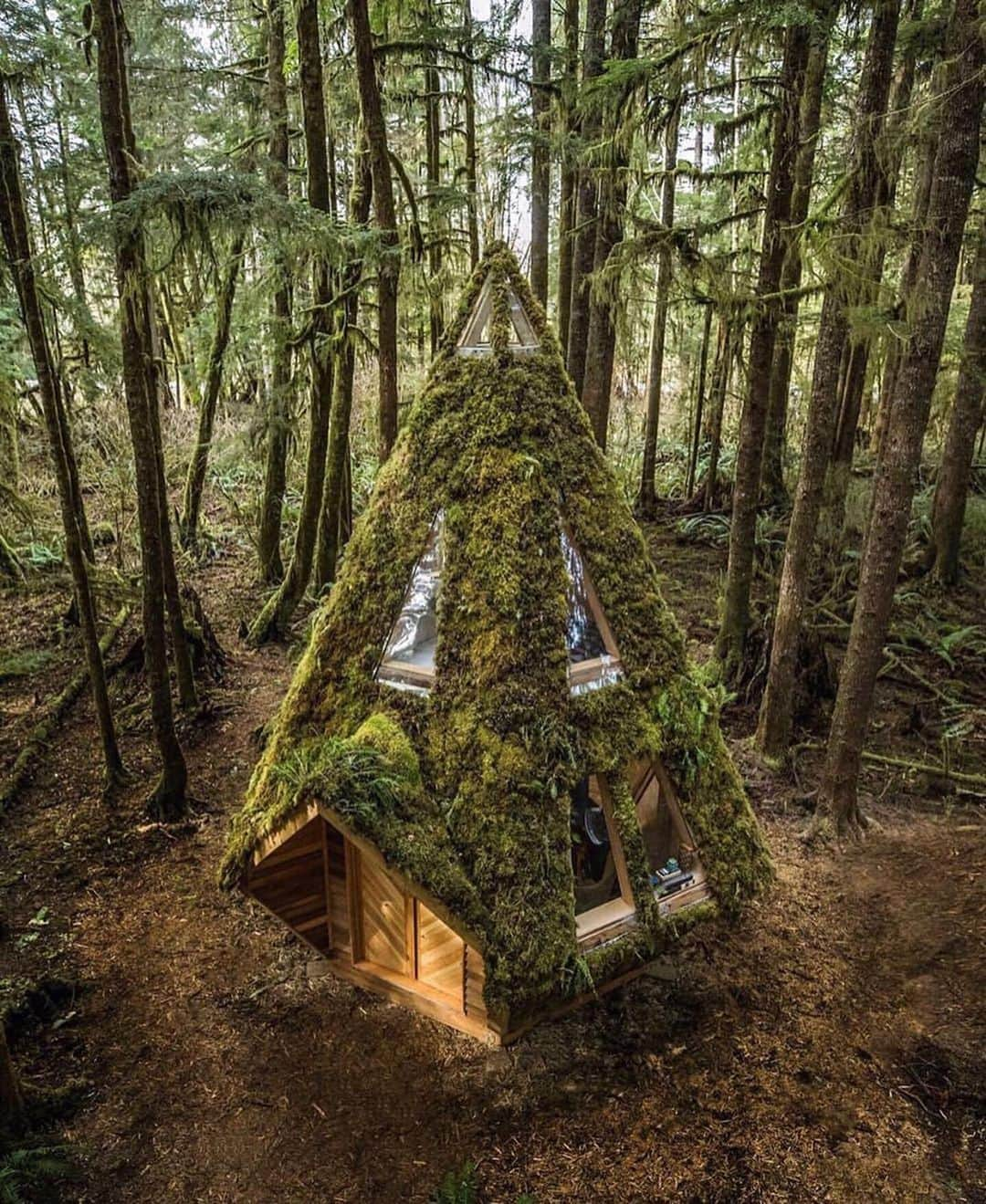 Inspirationさんのインスタグラム写真 - (InspirationInstagram)「Uma cabana em meio a floresta, que se camufla em meio as árvores por sua cobertura verde. Já pensou passar uma noite nela? Quem você levaria? Aproveita e marca o @ do crush/namorido aí nos comentários. 😍❤️. #decorcriative #decoreinteriores. Follow {@maisinteriores}. __________________ Design by Jacob Witzling & Sara Underwood. @saraunderwood @jacobwitzling」7月12日 6時03分 - decorcriative