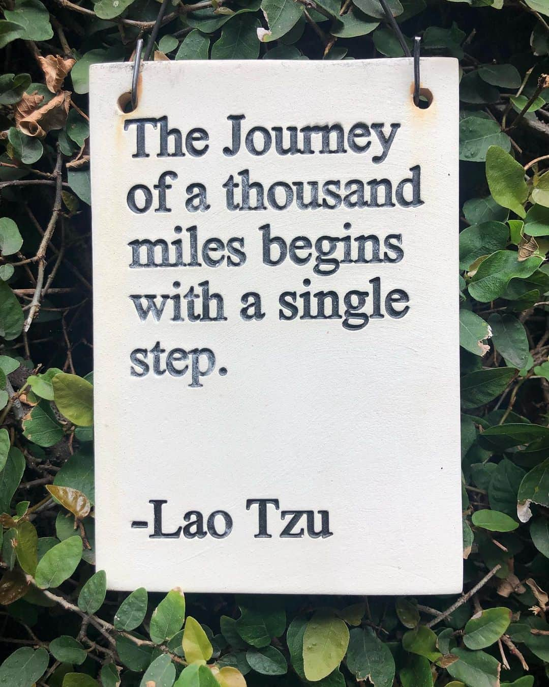 コンスタンス・マリーさんのインスタグラム写真 - (コンスタンス・マリーInstagram)「Note to self...🌿 Easy does it. One day at a time. #ThankfulThursday」7月12日 6時27分 - goconstance