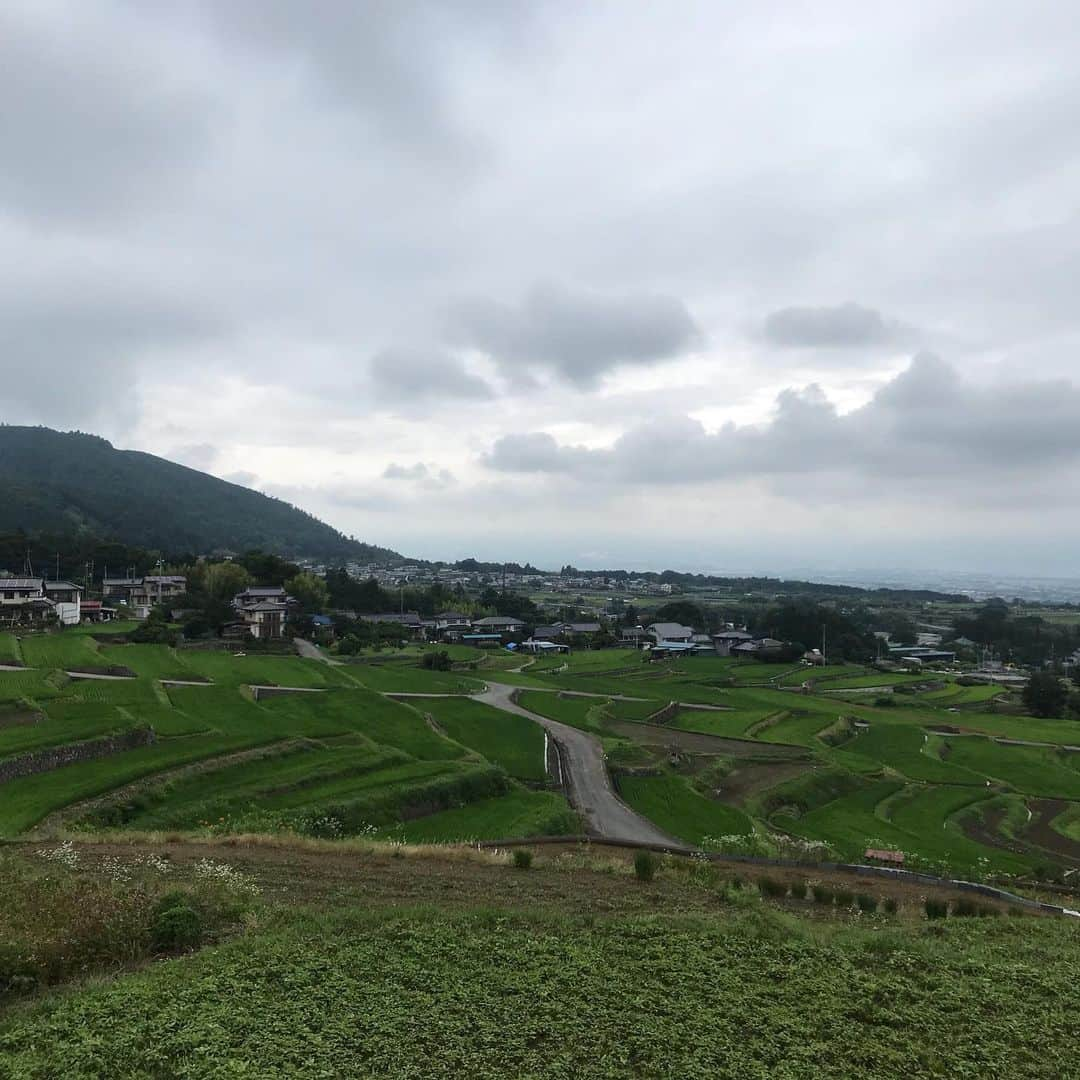 竹岡圭さんのインスタグラム写真 - (竹岡圭Instagram)「梅雨らしいお天気が続いていますが、雨をすり抜けて撮影🤗棚田の緑に目と心が癒されますぅ〜😌」7月12日 7時53分 - kei_takeoka