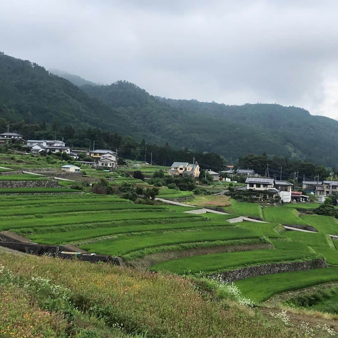 竹岡圭さんのインスタグラム写真 - (竹岡圭Instagram)「梅雨らしいお天気が続いていますが、雨をすり抜けて撮影🤗棚田の緑に目と心が癒されますぅ〜😌」7月12日 7時53分 - kei_takeoka