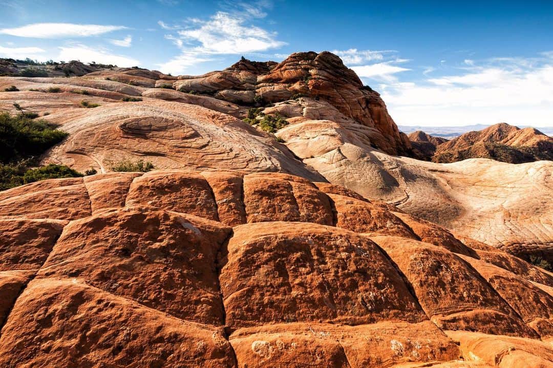アンジー・ペインさんのインスタグラム写真 - (アンジー・ペインInstagram)「A collection from The Candy Cliffs of Yant Flat. Yet another incredible place in Utah that I had the pleasure of visiting for @visitutah. The sandstone here is a spectacular example of why this rock type is and always will be my personal favorite. • • • • • #landscapephotography #macrophotography」7月12日 7時50分 - angelajpayne