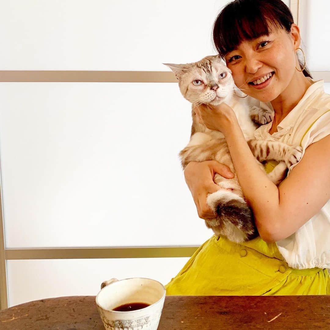 のインスタグラム：「お仕事後の楽しみは、アシスタントまゆねちゃんが淹れてくれる #かもがわカフェ 大文字ブレンドコーヒー☕️と、ガルちゃん抱っこタイム💛✨ #似てる？ #garu_cat #ガル様 #青山有紀」