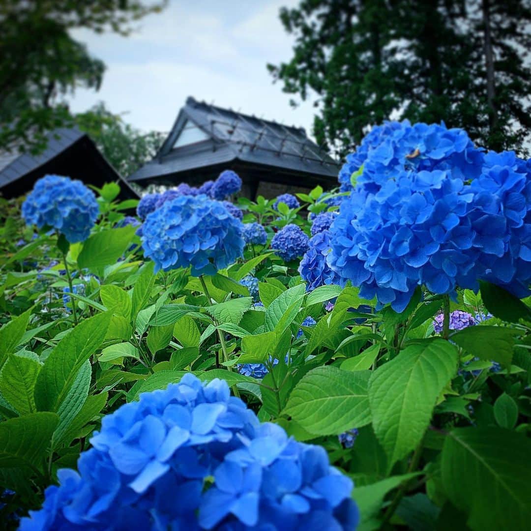 今野浩喜さんのインスタグラム写真 - (今野浩喜Instagram)7月12日 9時47分 - comnohiroki