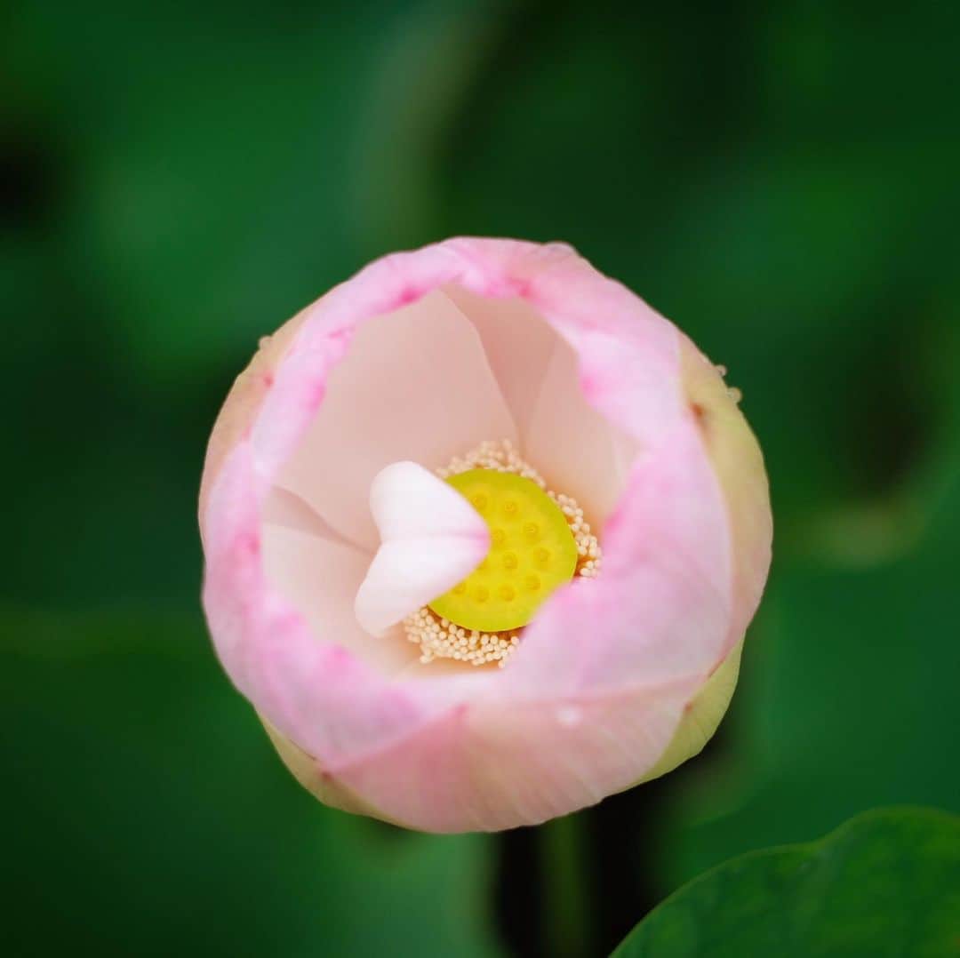 奈良 長谷寺 / nara hasederaのグルメインスタ