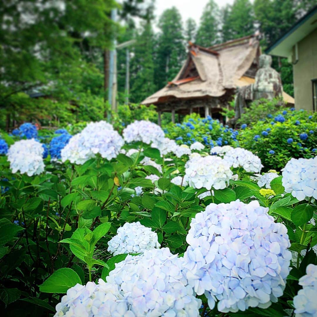 今野浩喜さんのインスタグラム写真 - (今野浩喜Instagram)7月12日 9時48分 - comnohiroki