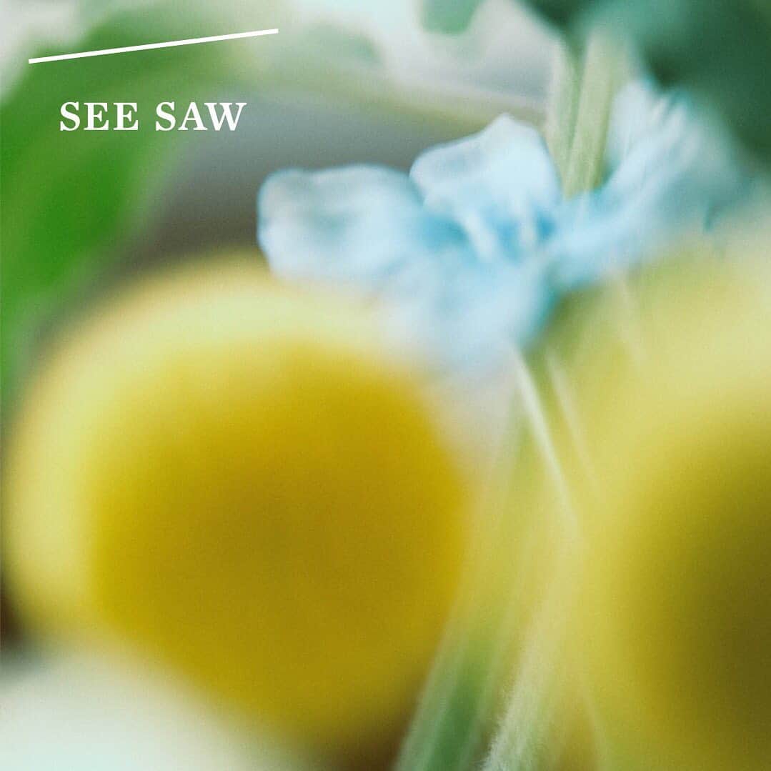 SEE/SAW公式アカウントさんのインスタグラム写真 - (SEE/SAW公式アカウントInstagram)「・﻿ SEE/SAWの香りは、透明感を追求した﻿﻿ ふんわりとやさしい香調でありながら、﻿﻿ 持続性にも優れています。﻿﻿ ﻿﻿ ﻿﻿ オフィシャルサイトでSEE/SAWの﻿﻿ お取り扱い店をご確認いただけます。﻿﻿ プロフィールのURLからご覧ください。﻿﻿ @seesaw_lebel﻿﻿ ﻿﻿ ﻿﻿ #seesaw﻿﻿ #印象 #艶 #光 #透明感 #艶髪 #ツヤ髪 #美髪﻿﻿ #shampoo #シャンプー #hairtreatment #ヘアトリートメント #clearoil #クリアオイル#ヘアケア #ヘアメンテナンス #ヘアオイル #トリートメント #ヘアサロン #美容室 #美容院 #haircare #hairoil #LebeL #ルベル #タカラベルモント #takarabelmont #サロン専売品﻿﻿ ﻿﻿ #心を奪う ﻿﻿ #髪になる」7月12日 9時58分 - seesaw_lebel