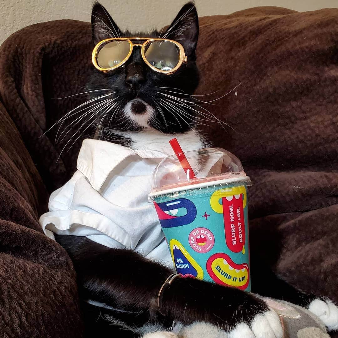 猫コスプレさんのインスタグラム写真 - (猫コスプレInstagram)「Filling one up for Alexei this 7-11... #Slurpee #StrangerThings . . . . . . . . . . #Alexei #alexeistrangerthings #StrangerThings3 #strangerthingscosplay #alexeicosplay #711 #freeslurpeeday #catcostume #catcosplay #catsinclothes #cosplay」7月12日 10時05分 - cat_cosplay