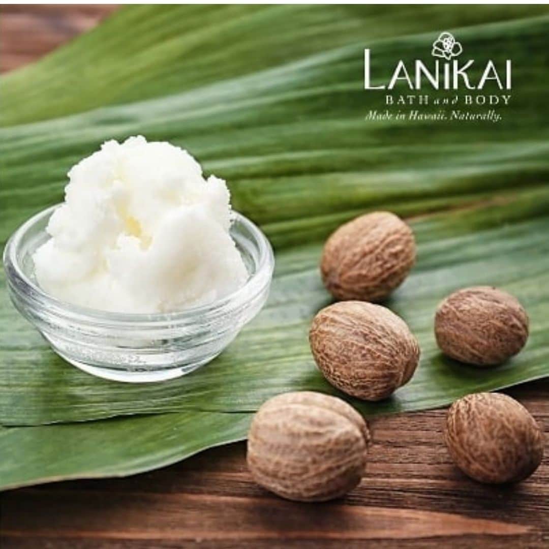 Lanikai Bath and Bodyさんのインスタグラム写真 - (Lanikai Bath and BodyInstagram)「Organic Shea butter- used in all of our lotions and body butters! Did you know that shea butter has a natural spf that helps protect your skin? #lanikaibathandbody #lanikaibeach #lanikaibathandbodyjapan #kailua #kailuatownhi #lanikai」7月12日 10時57分 - lanikaibathandbody