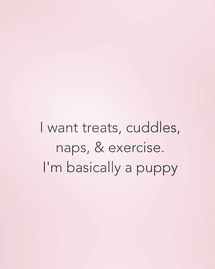 Alexia Clarkさんのインスタグラム写真 - (Alexia ClarkInstagram)「🐶🐶Who can relate?! 🐶🐶 www.alexia-clark.com  #alexiaclark #queenofworkouts #queenteam #queen2019 #puppy #puppiesmakemehappy #fitness #fitgirl #naps #gym #meme #fitforHisreason #dogs #dogsofinstagram」7月12日 11時41分 - alexia_clark