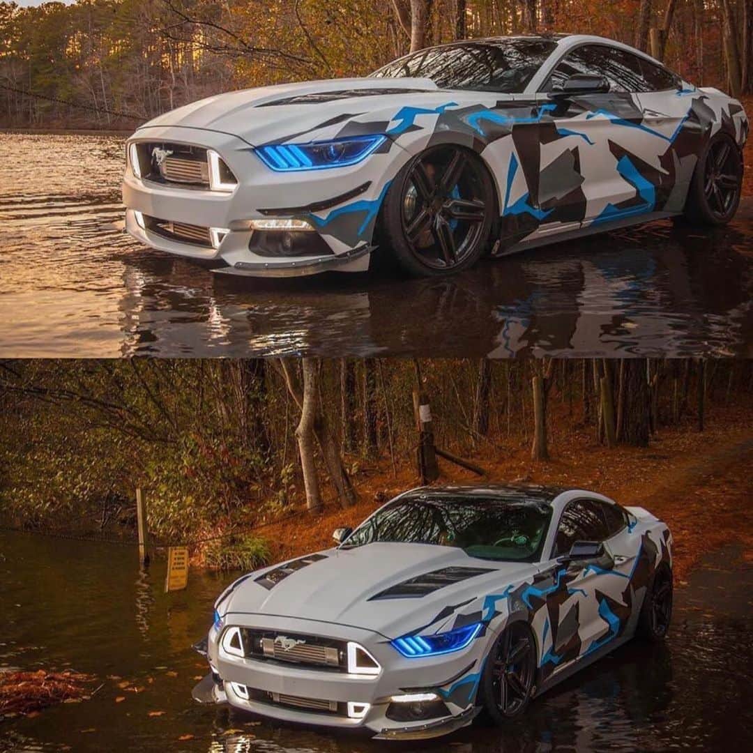 CarsWithoutLimitsさんのインスタグラム写真 - (CarsWithoutLimitsInstagram)「Rate this Mustang @chasekim5.0 💧 Photo @chasekim5.0  #carswithoutlimits #ford #mustang #gt #wrap」7月12日 11時55分 - carswithoutlimits