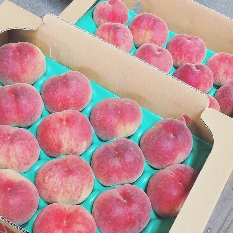 生活の木 メディカルハーブガーデン薬香草園【公式】のグルメインスタ