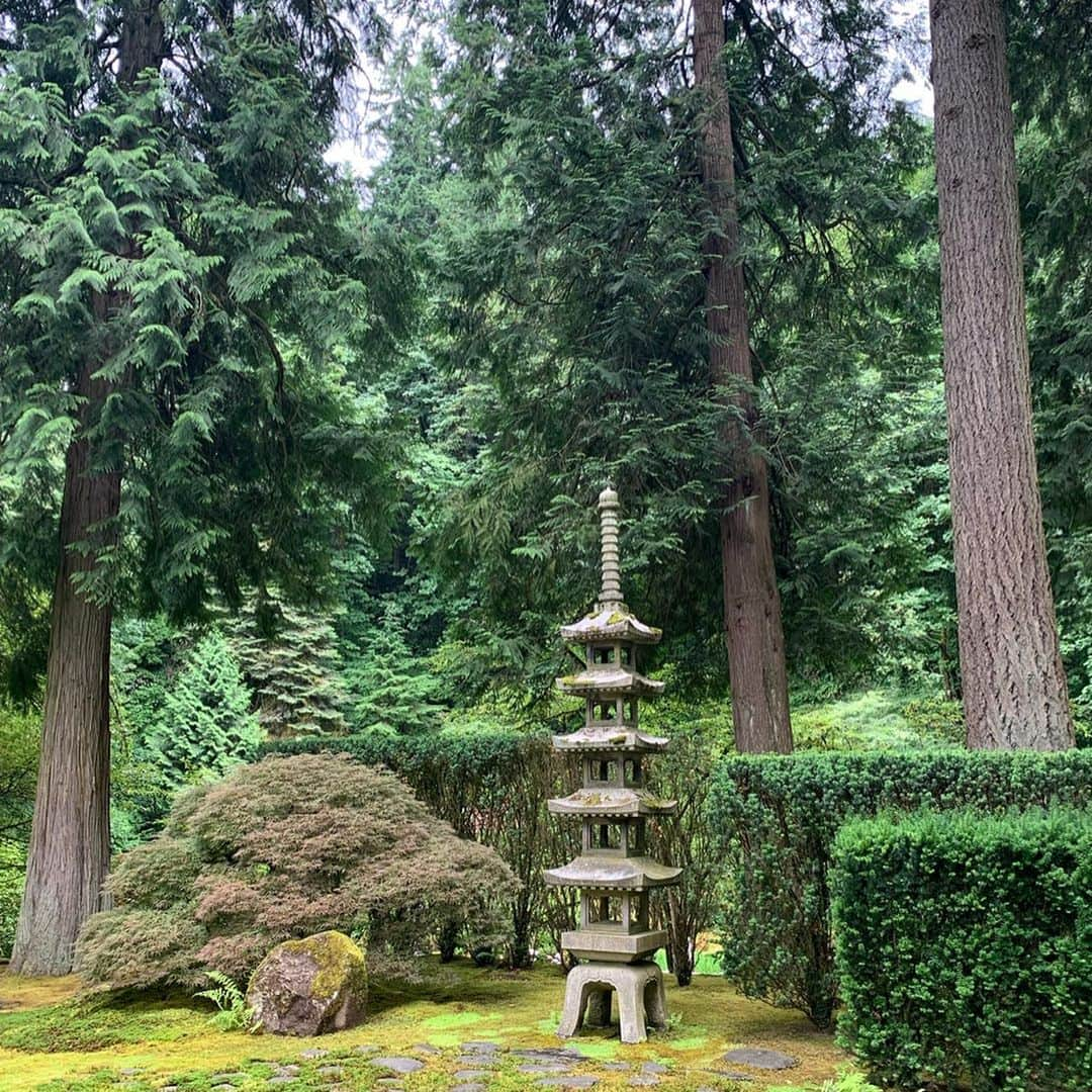 ノーマさんのインスタグラム写真 - (ノーマInstagram)「Portland Japanese Garden🎍 オレゴンの大自然と日本文化の融合が魅力的なポートランド日本庭園。世界屈指と言われる日本庭園なのだそう。 庭園に限らずこの辺りは苔がとにかく美しくて萌える。 オレゴンに20年暮らすおとんと。  #oregon #portland #portlandjapanesegarden #botanics #nomatrip #オレゴン #ポートランド #ポートランド日本庭園 #植物 #苔」7月12日 12時30分 - noma77777