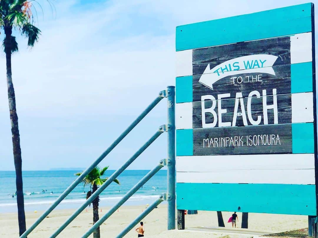 玉置成実のグルメインスタ