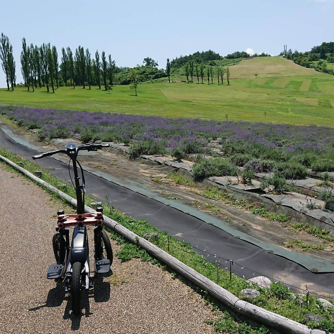 ヤマハ バイクさんのインスタグラム写真 - (ヤマハ バイクInstagram)「#新潟県長岡市 #国営越後丘陵公園 #フロント2輪 #小型電動立ち乗りモビリティ#TRITOWN #トリタウン #実証実験 重量	：#約40kg 寸法	：1,140㎜×620㎜×1,140㎜ 速度	：	最高25km/h ※#状況により最高速度を制限している場合があります モーター形式	：#インホイールモーター モーター出力	：#500W バッテリー形式	：#リチウムイオン バッテリー電圧	：#48V バッテリー容量	：#380Wh 充電時間	：#約2時間 走行可能距離	：#約30km」7月12日 16時01分 - yamaha_bike