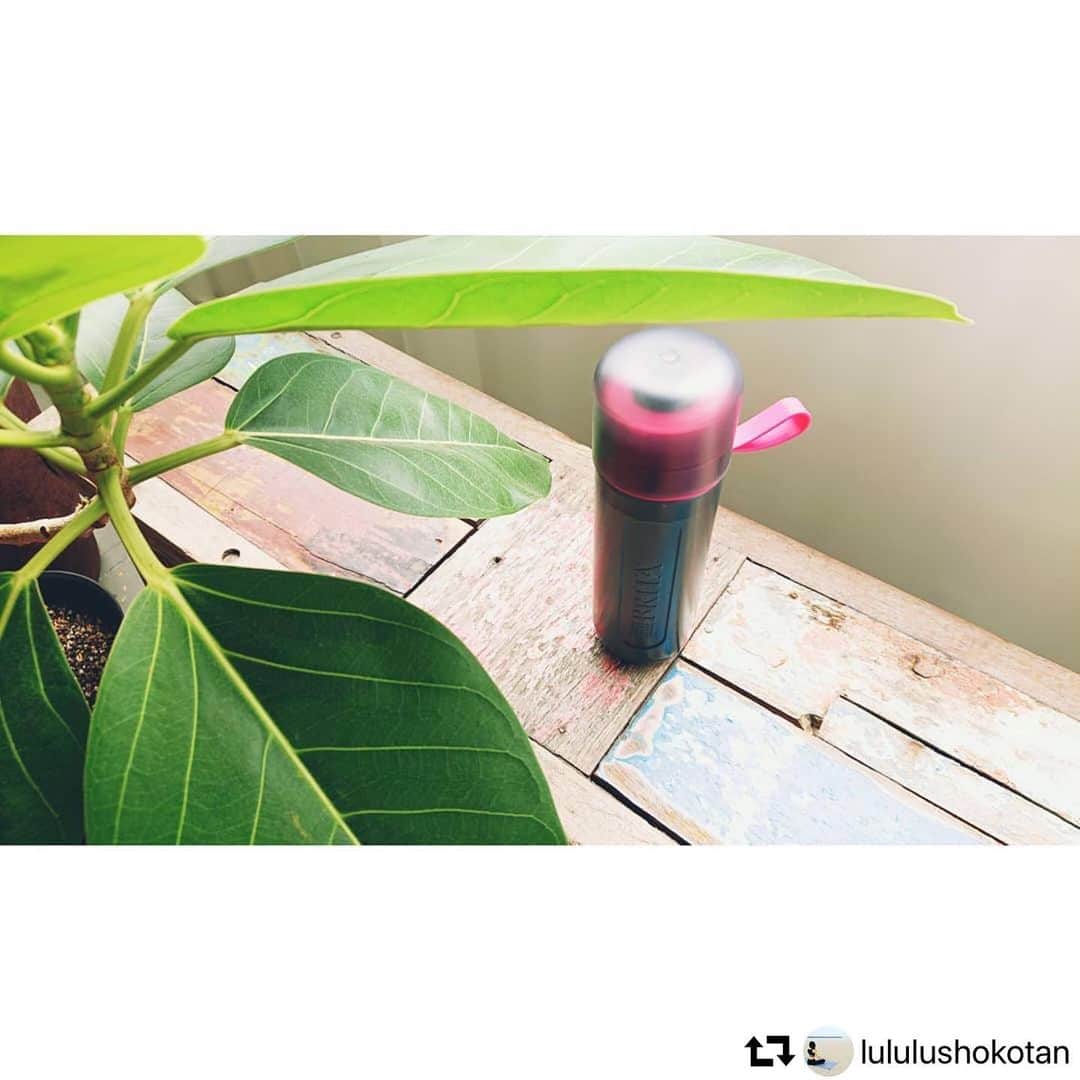 BRITA Japanのインスタグラム：「【BRITA仲間が増えてきた😂🎵】﻿ @lululushokotan さんのリポスト。﻿ BRITA仲間を増やしていただき、ありがとうございます♪﻿ ﻿ #repost #thankyou #fillandgo #fillandgoactive #水筒 #エコ #熱中症対策﻿ ﻿ ・・・﻿ ヨガの時にお水は欠かせない☀️﻿ 最近購入したマイボトル✨﻿ 浄水機能付きで、どこでもおいしいお水が飲めるBRITA☺️💕﻿ 持ち運べる浄水器って便利🌼﻿ ずっとお水はペットボトルのミネラルウォーター派やったけど、これならプラごみも減らせるし経済的で一石二鳥〜🙆🌈﻿ できることから少しずつ😌﻿ 使い勝手良くて、周りに嬉しさ伝えてたら、周りにBRITA買った🙋というBRITA仲間が増えてきた😂笑🎵﻿ #水 #water #水分補給 #brita #ブリタ #浄水器 #マイボトル #タンブラー #便利 #bpafree #環境 #eco #ペットボトル #プラスチック #sustainability #経済的 #ゴムの木 #観葉植物 #ヨガ #yoga」