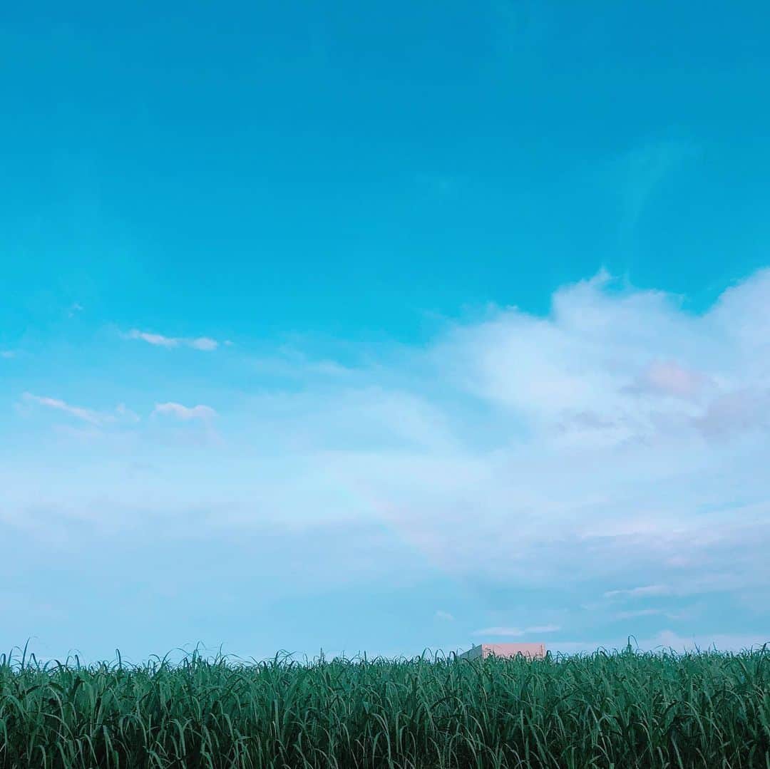 石川瑠利子さんのインスタグラム写真 - (石川瑠利子Instagram)「. . I wanna see such a sky in Tokyo!! 梅雨空に飽きたよ😟 . . #sky #blue #実は虹が出てるよ」7月12日 16時37分 - ruriko_ishikawa