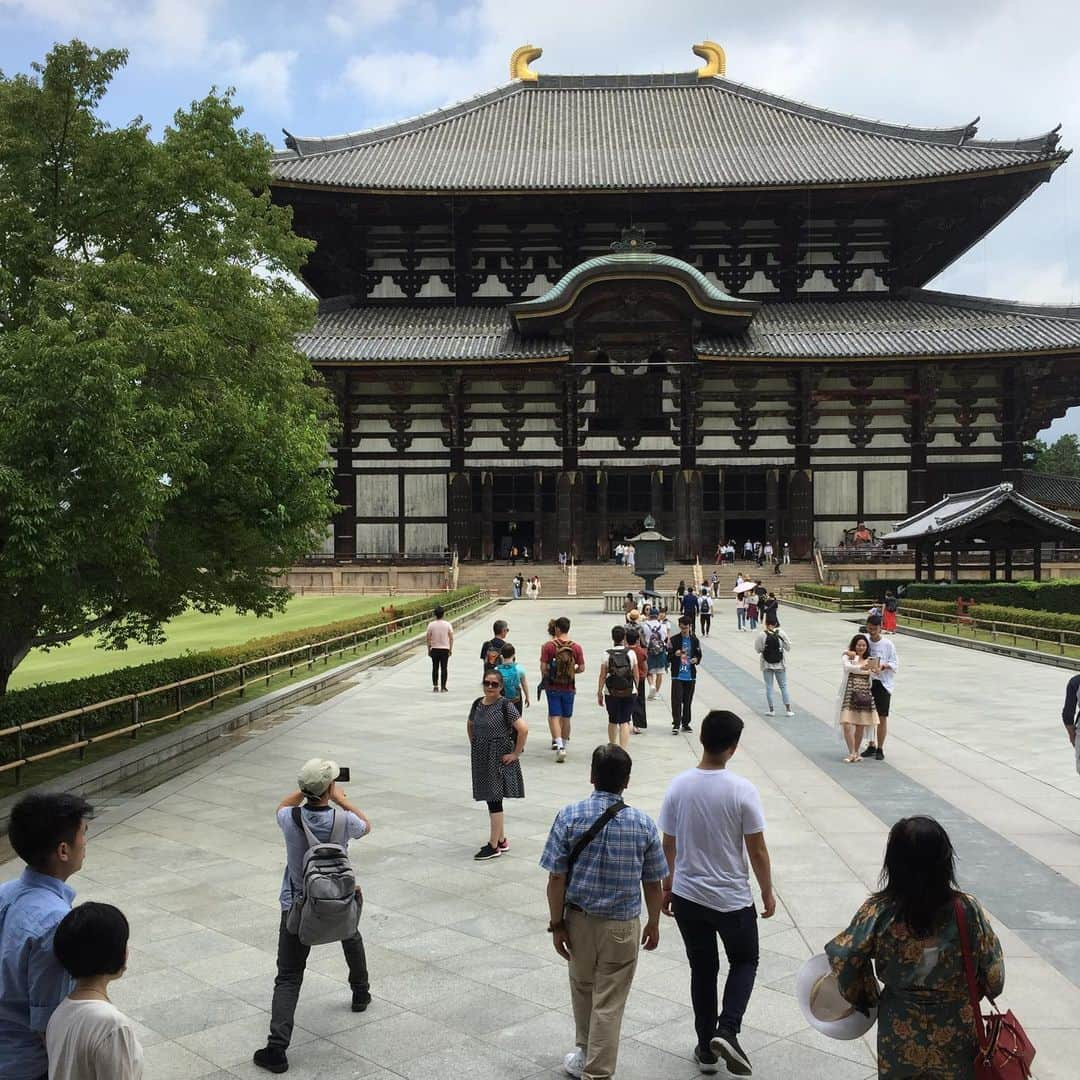 氏家恵さんのインスタグラム写真 - (氏家恵Instagram)「#東大寺 #大仏 #春日大社 #奈良公園の鹿  #二月堂  #鹿みくじ  #奈良」7月12日 16時35分 - ujiiemegumi