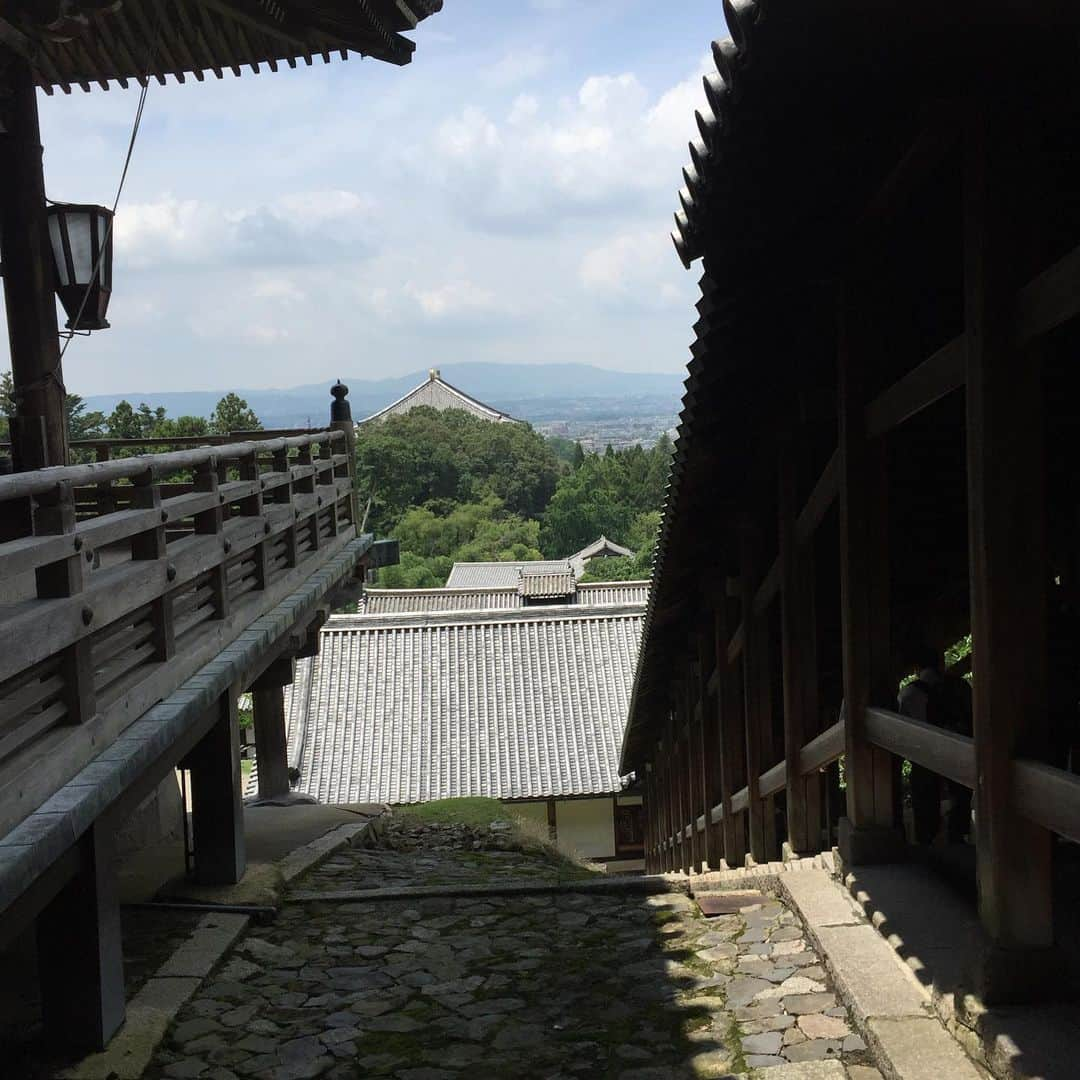 氏家恵さんのインスタグラム写真 - (氏家恵Instagram)「#東大寺 #大仏 #春日大社 #奈良公園の鹿  #二月堂  #鹿みくじ  #奈良」7月12日 16時35分 - ujiiemegumi