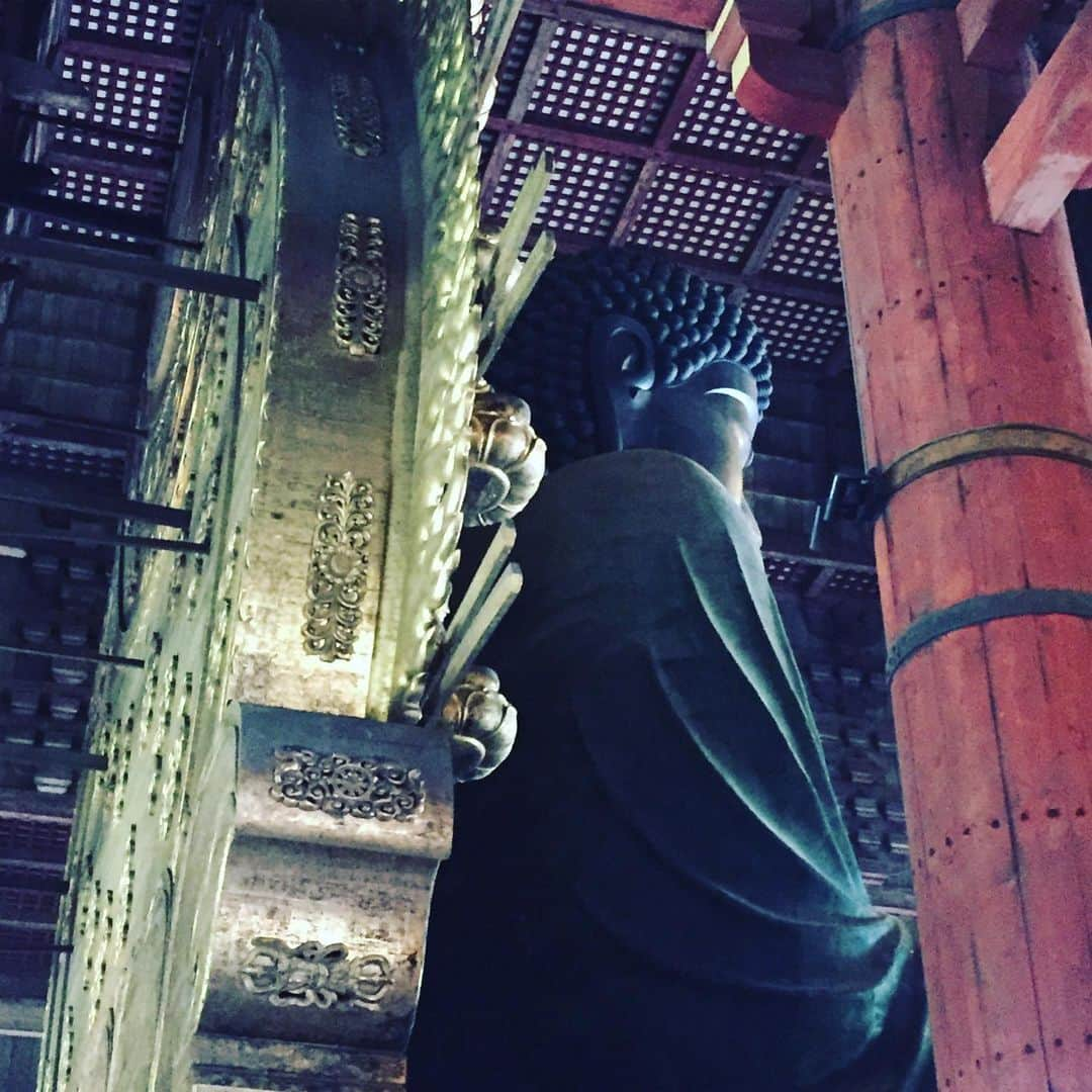 氏家恵さんのインスタグラム写真 - (氏家恵Instagram)「#東大寺 #大仏 #春日大社 #奈良公園の鹿  #二月堂  #鹿みくじ  #奈良」7月12日 16時35分 - ujiiemegumi