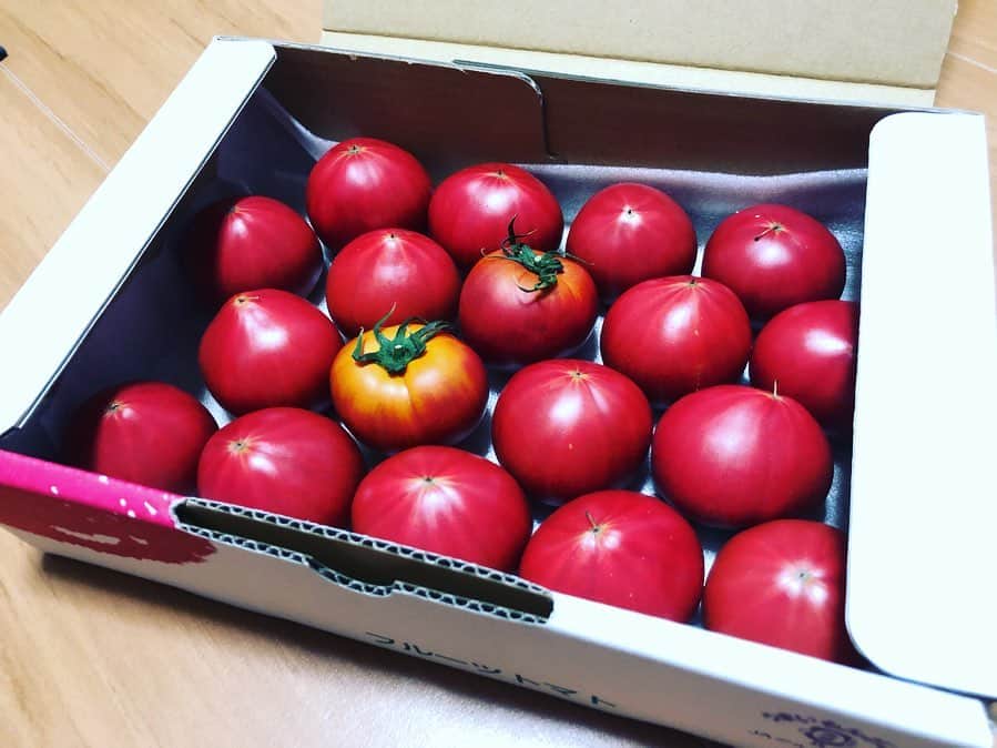 棟朝銀河さんのインスタグラム写真 - (棟朝銀河Instagram)「国体イベントで茨城に行った時にフルーツトマトをいただきました！ . ということで、フルーツトマトを贅沢に使って料理✨ . 1人で食べるのに調子乗って作りすぎたけど、二日間でしっかり完食しました笑 . 子供の頃からトマトへの苦手意識があるんですけど、今回いただいたフルーツトマトは甘みが強くて美味しかった〜！ トマト苦手なお子さんにおススメ⁈ . . #パスタ #カプレーゼ #カルパッチョ . #男の手料理 #料理 #盛り付け大事 #トマト料理 ＃トマト #フルーツトマト #高糖度トマト #茨城 #トマト工房ねもと #農家の方に感謝 #アスリート #オリンピアン #トランポリン #国体」7月12日 16時47分 - gingamunetomo