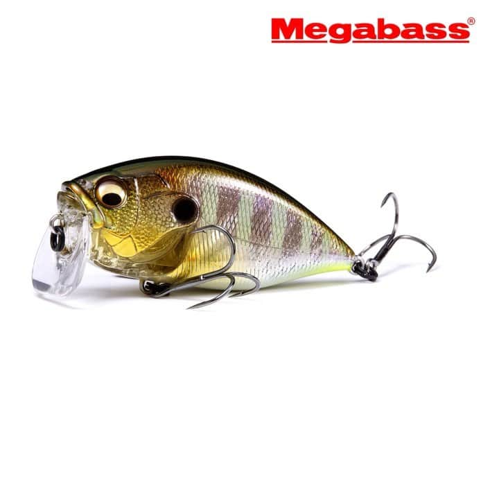 Megabass Inc.のインスタグラム