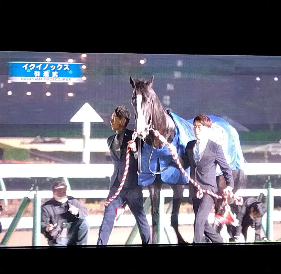 梅田陽子さんのインスタグラム写真 - (梅田陽子Instagram)「競馬な週末。 1枚目、万哲さんこと小田哲也さん、 2枚目、松本智志さんと  ヤングジョッキーズシリーズや 最終で勝春さんが勝利されたり イクイノックスの引退式ありで 天候もそうでしたが、 現場のなにもかもが あったかい感じでした。  私の今年のパドック仕事は終わりですが 年末は、まだまだイベントや収録、 28は地方中継もありますので 引き続き、どうぞご贔屓に🙇  最後の一枚は帰りに いつも応援してくださる皆さんと 🍷飲んで楽しかったなぁ。 いい1日でした！  #競馬 #馬 #パドック #アナウンサー #キャスター #セントフォース #MC #梅田陽子」12月18日 14時28分 - yokoumeda