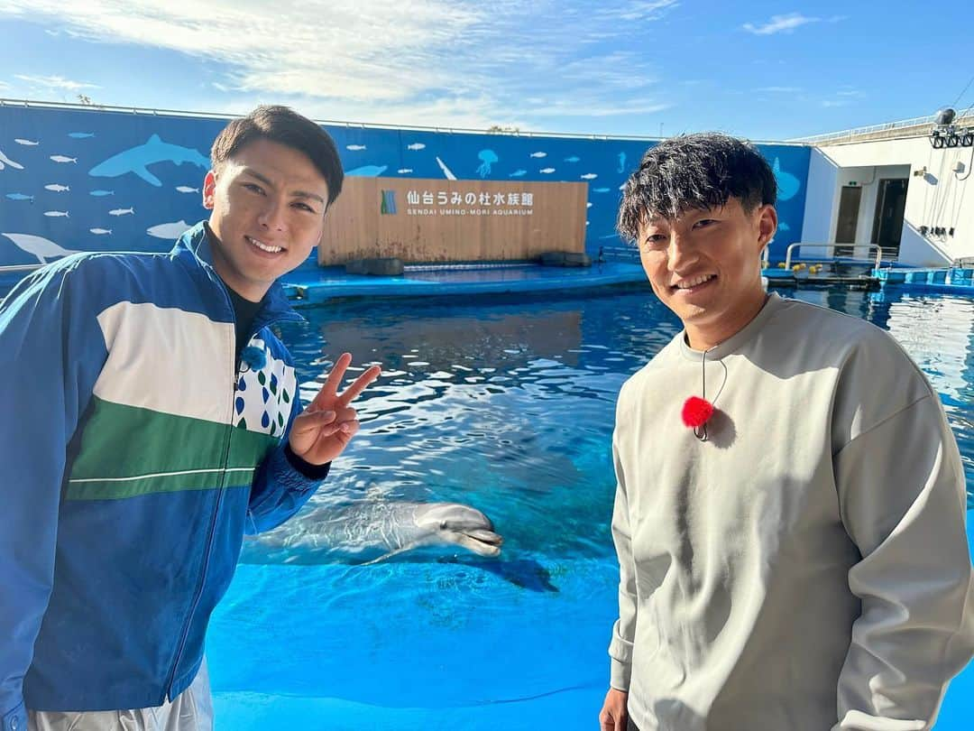 東北楽天ゴールデンイーグルスさんのインスタグラム写真 - (東北楽天ゴールデンイーグルスInstagram)「🐬  先日、村林選手の夢を叶えるべく #むらこぶ で #仙台うみの杜水族館 へ🌊✨  イルカのトレーナーを体験する村林選手と それを応援する小深田選手の姿は 「楽天イーグルス2023シーズン総集編」でCHECK！💿  水族館デートや以心伝心ゲームも行い、 今回も『むらこぶしてます』🤭  #RakutenEagles #小深田大翔 #村林一輝 #むらこぶするむらこぶ #思わずイルカもカメラ目線 #東北#宮城#仙台」12月18日 14時59分 - rakuten_eagles